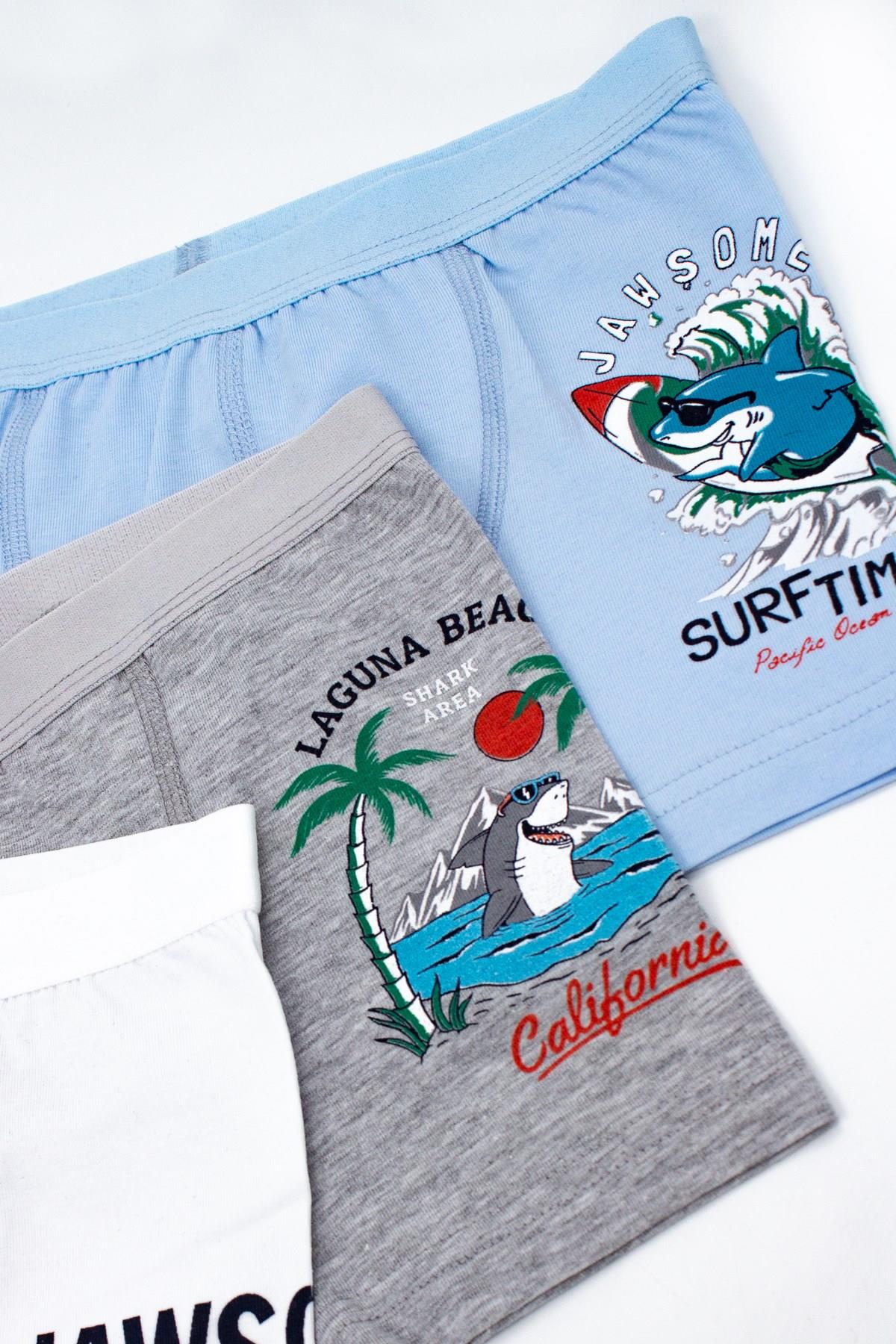 Öts Erkek Çocuk Boxer 3'lü Baskılı (%96 Pamuk - %4 Elastan)