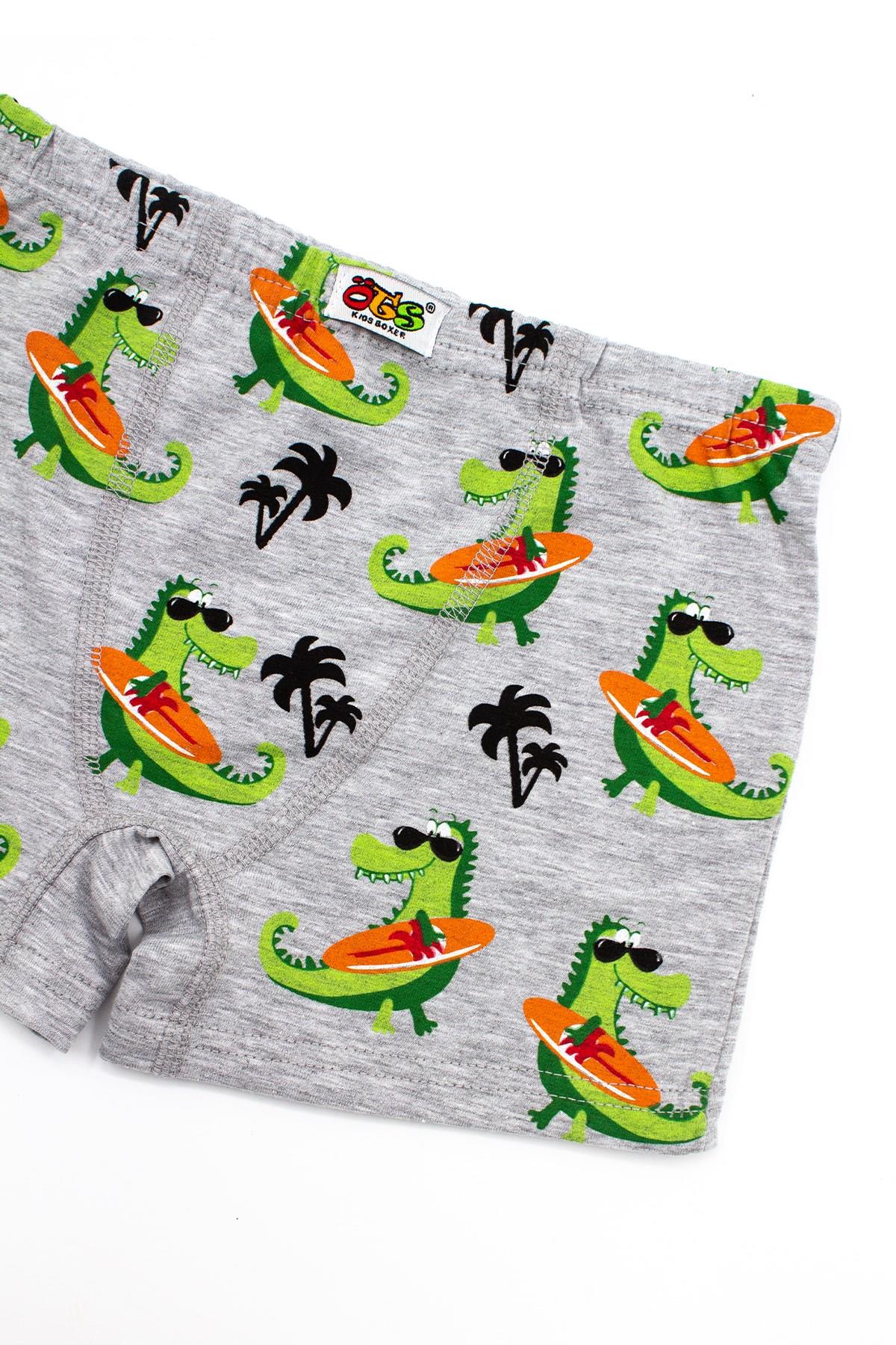 Öts Erkek Çocuk Boxer 3'lü Baskılı (%96 Pamuk - %4 Elastan)