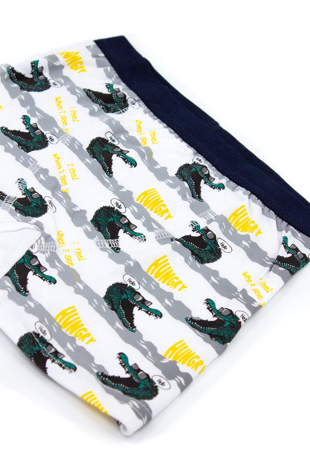 Öts Erkek Çocuk Boxer 3'lü Baskılı (%96 Pamuk - %4 Elastan)