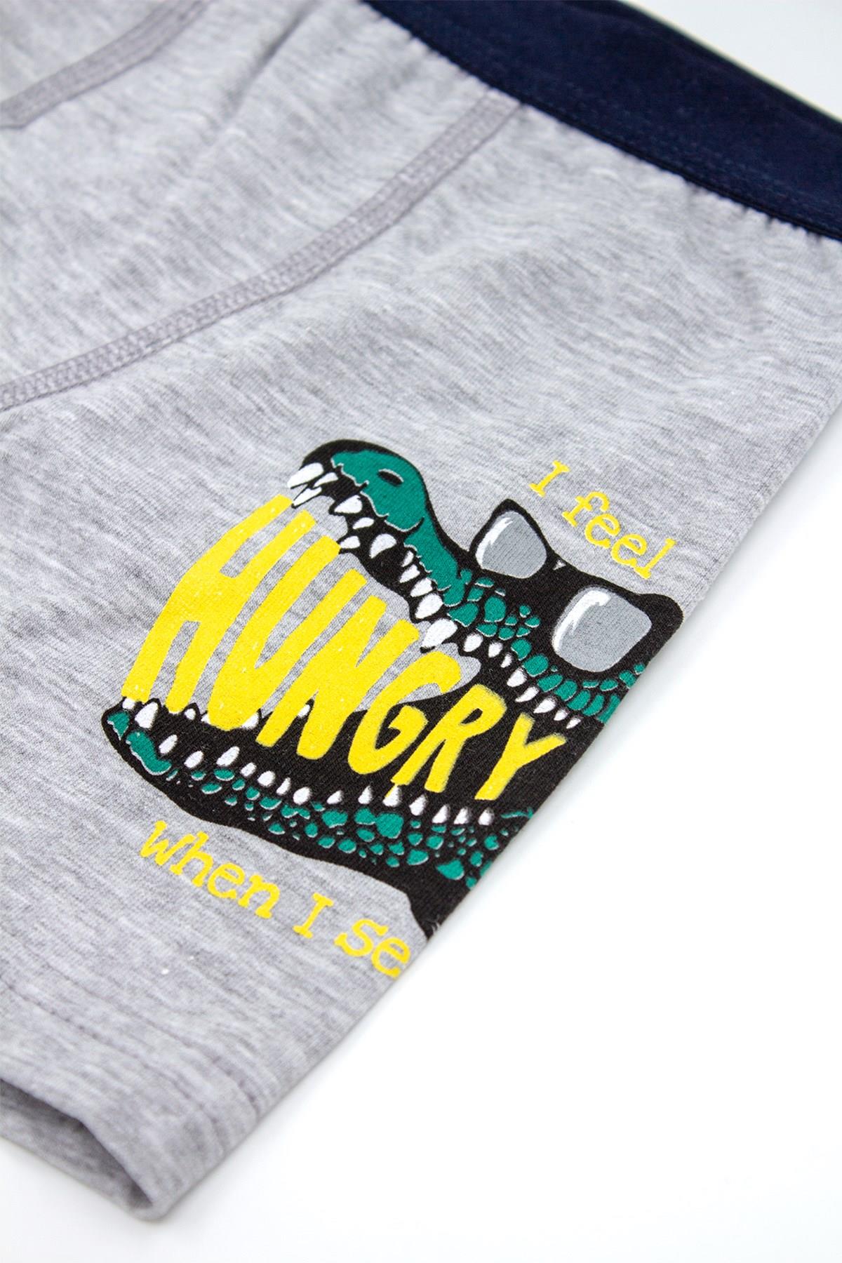 Öts Erkek Çocuk Boxer 3'lü Baskılı (%96 Pamuk - %4 Elastan)