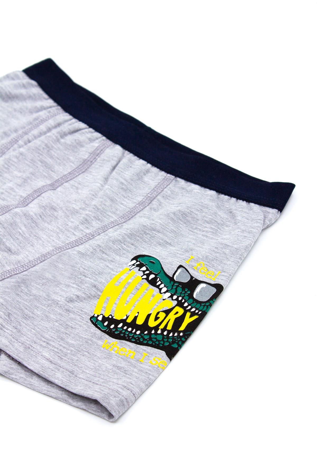 Öts Erkek Çocuk Boxer 3'lü Baskılı (%96 Pamuk - %4 Elastan)