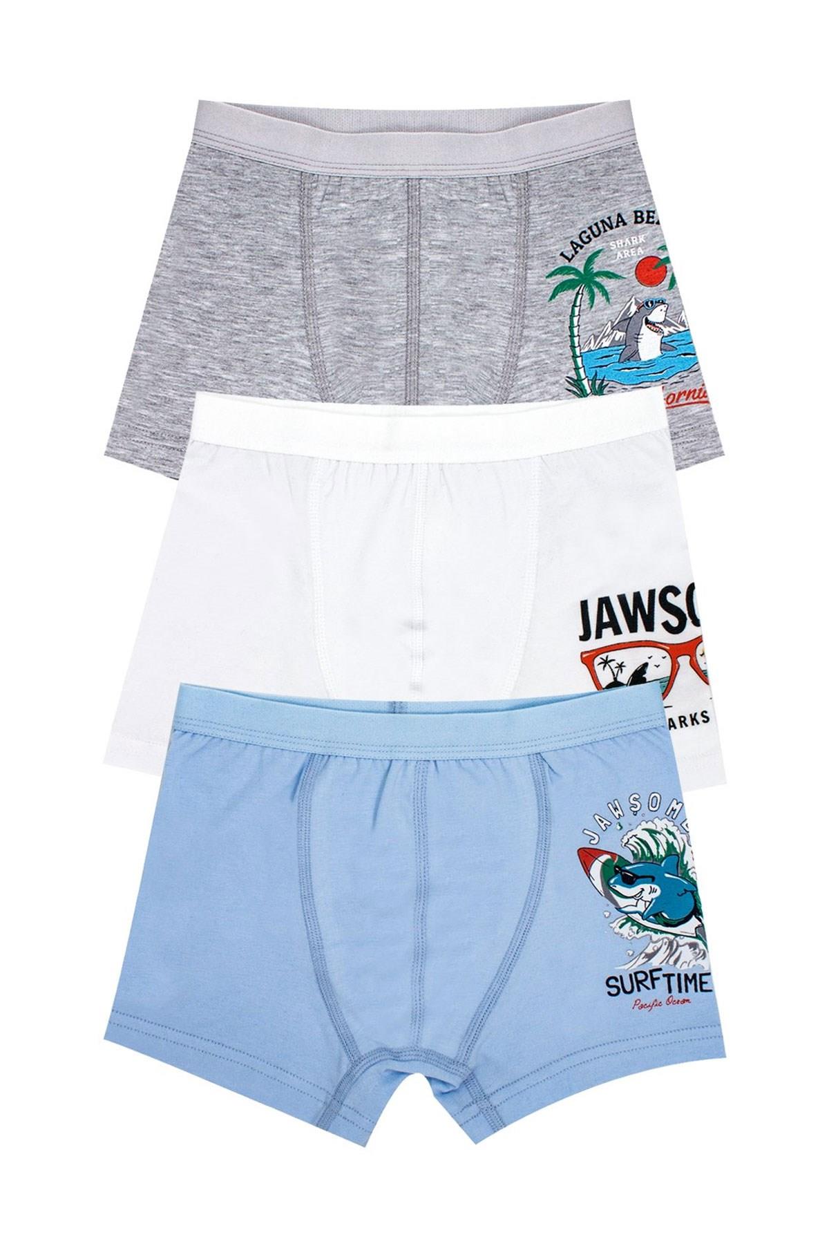 Öts Erkek Çocuk Boxer 3'lü Baskılı (%96 Pamuk - %4 Elastan)