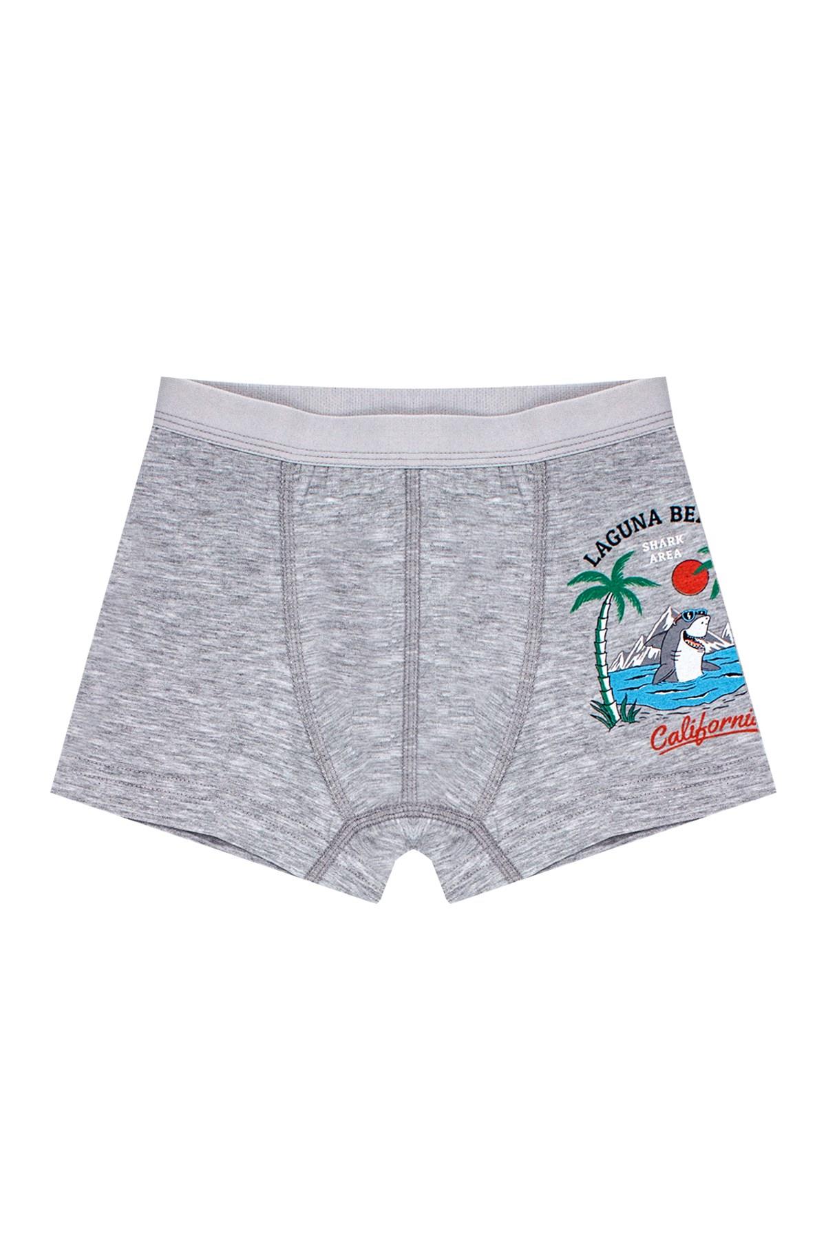 Öts Erkek Çocuk Boxer 3'lü Baskılı (%96 Pamuk - %4 Elastan)