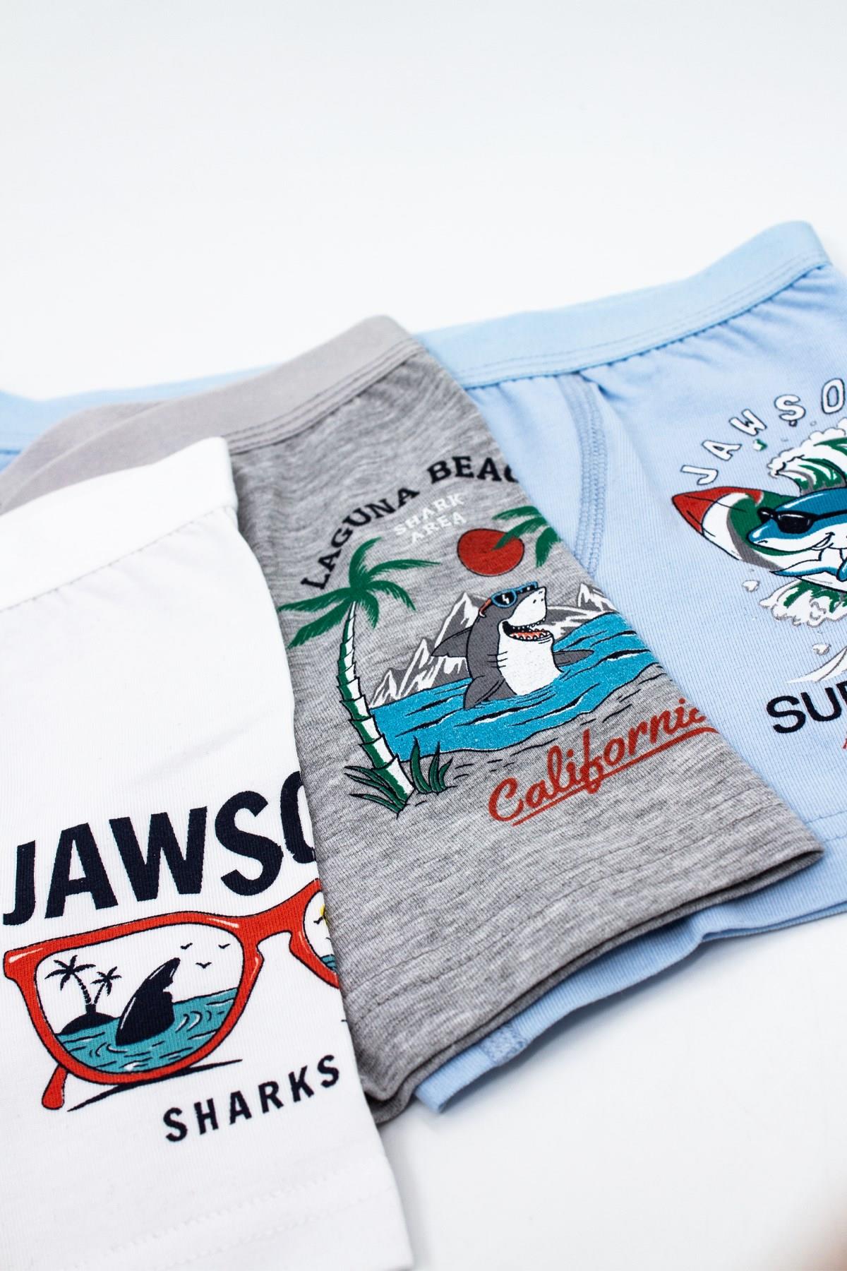 Öts Erkek Çocuk Boxer 3'lü Baskılı (%96 Pamuk - %4 Elastan)