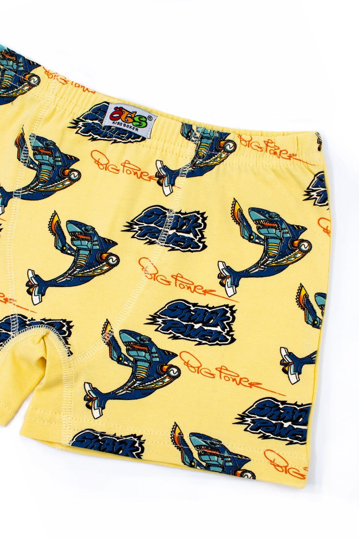 Öts Erkek Çocuk Boxer 3'lü Baskılı (%96 Pamuk - %4 Elastan)