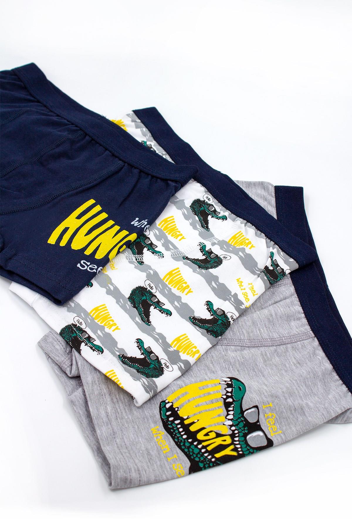 Öts Erkek Çocuk Boxer 3'lü Baskılı (%96 Pamuk - %4 Elastan)