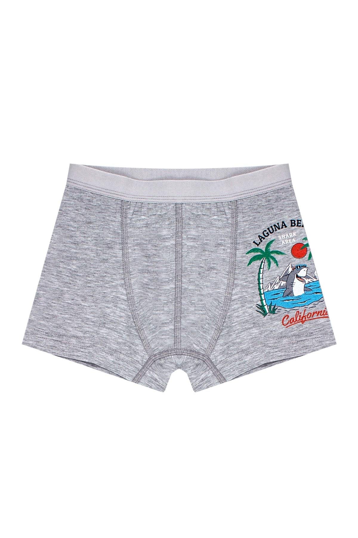 Öts Erkek Çocuk Boxer 3'lü Baskılı (%96 Pamuk - %4 Elastan)