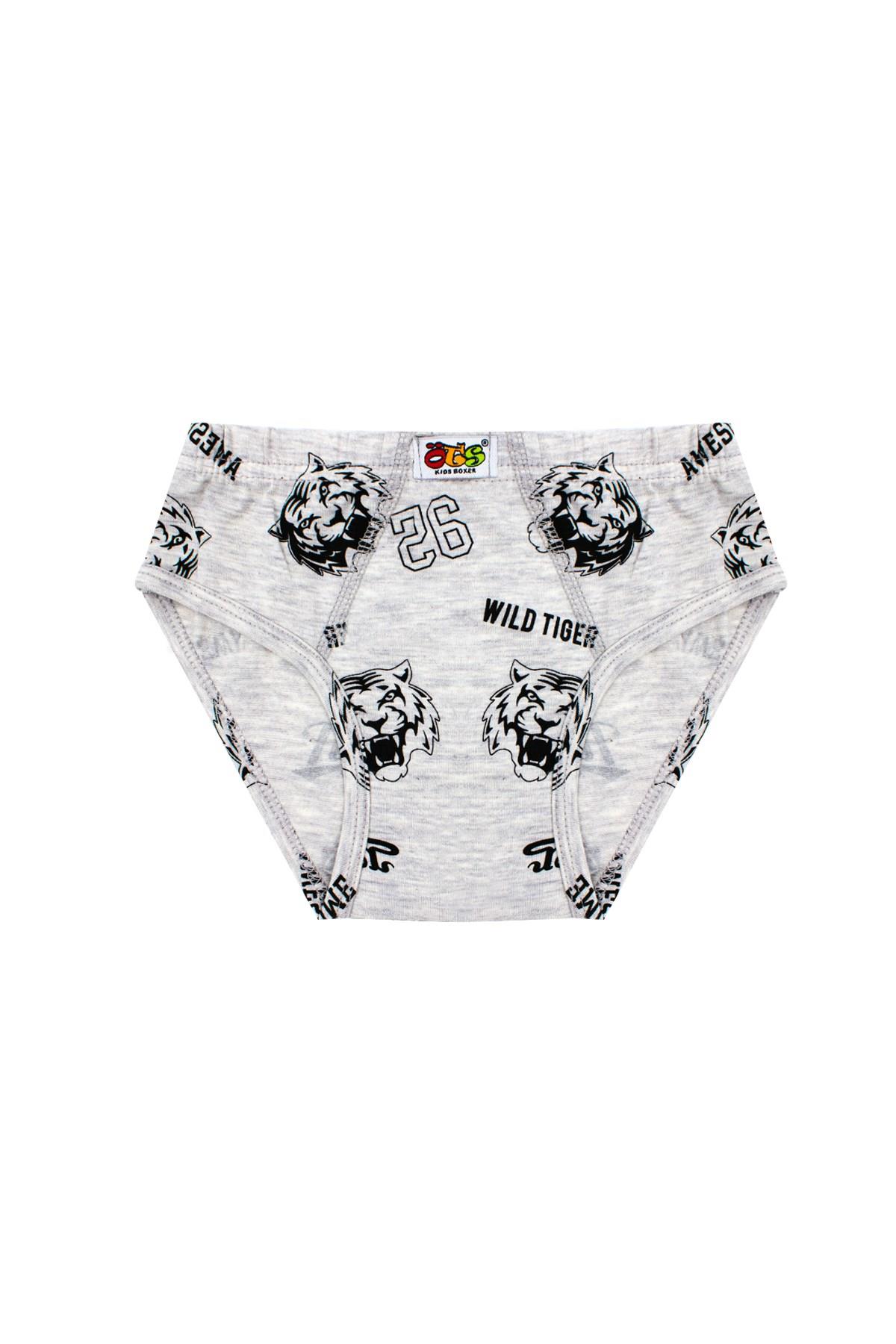 Öts Erkek Çocuk Külot 3'lü Baskılı (%96 Pamuk - %4 Elastan)