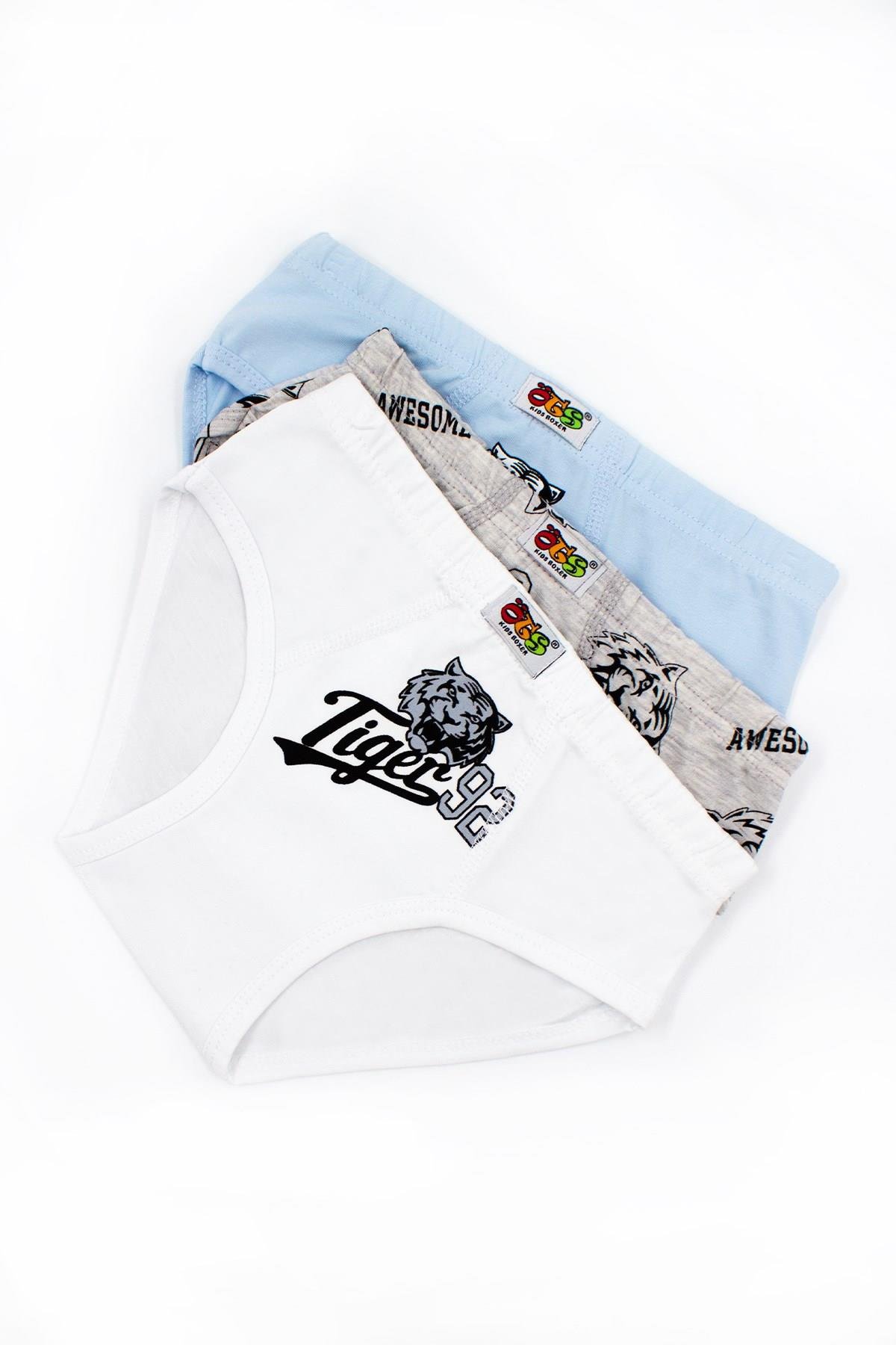 Öts Erkek Çocuk Külot 3'lü Baskılı (%96 Pamuk - %4 Elastan)