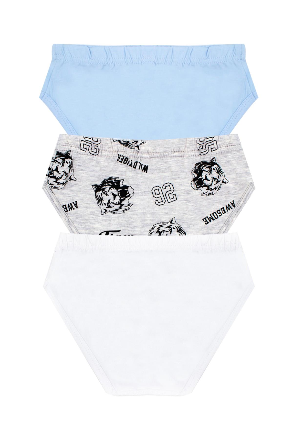 Öts Erkek Çocuk Külot 3'lü Baskılı (%96 Pamuk - %4 Elastan)