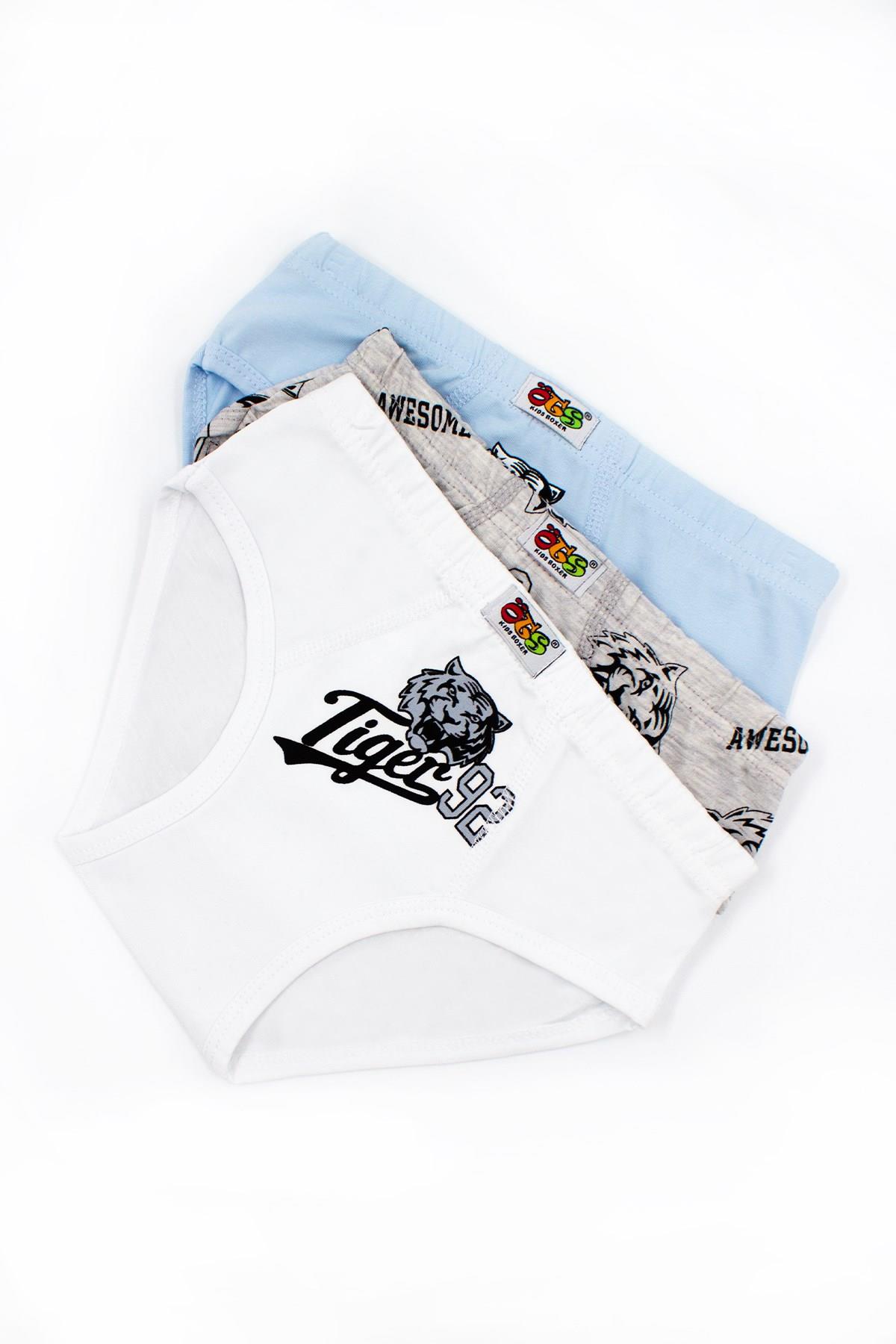 Öts Erkek Çocuk Külot 3'lü Baskılı (%96 Pamuk - %4 Elastan)