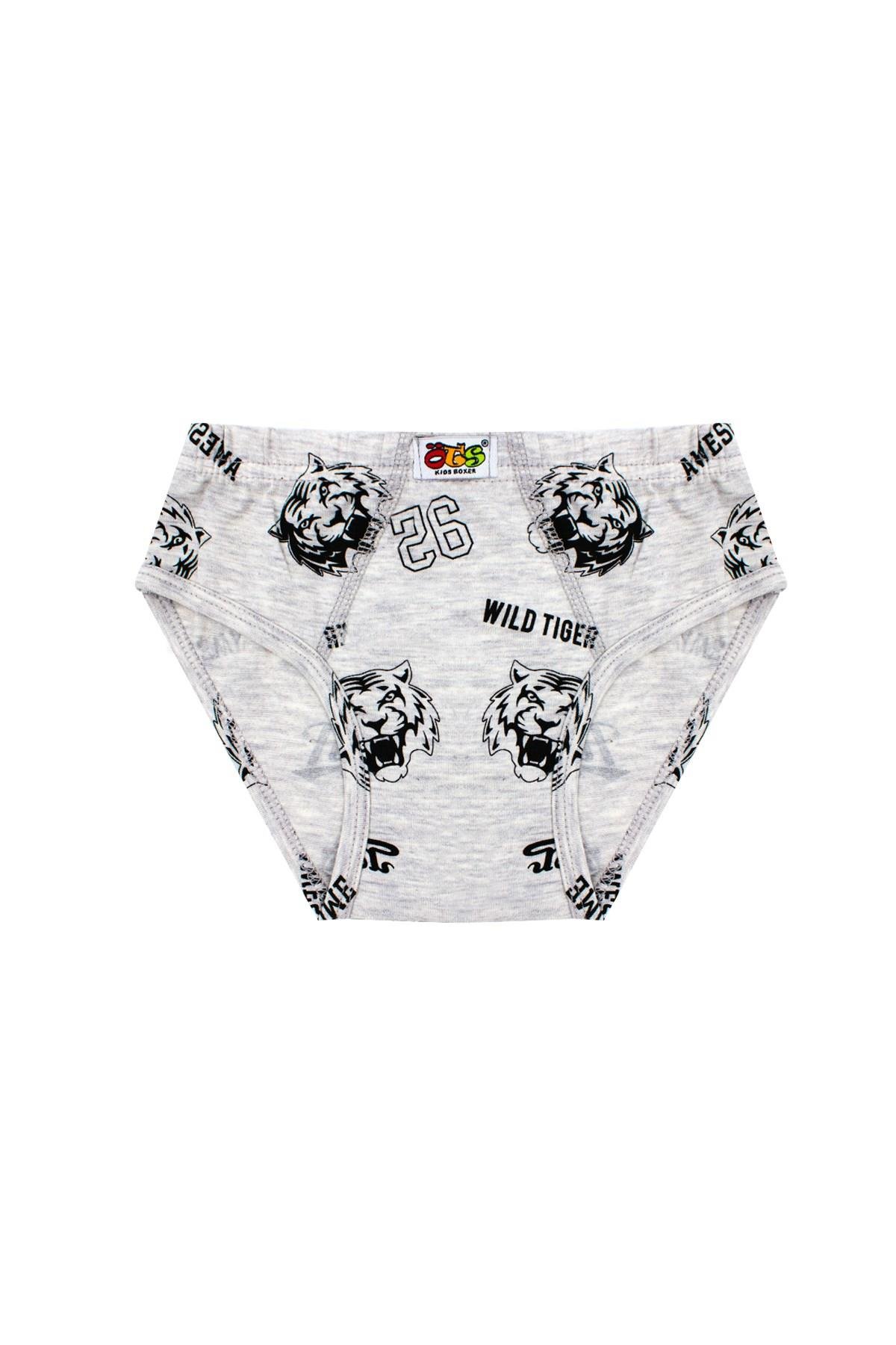 Öts Erkek Çocuk Külot 3'lü Baskılı (%96 Pamuk - %4 Elastan)