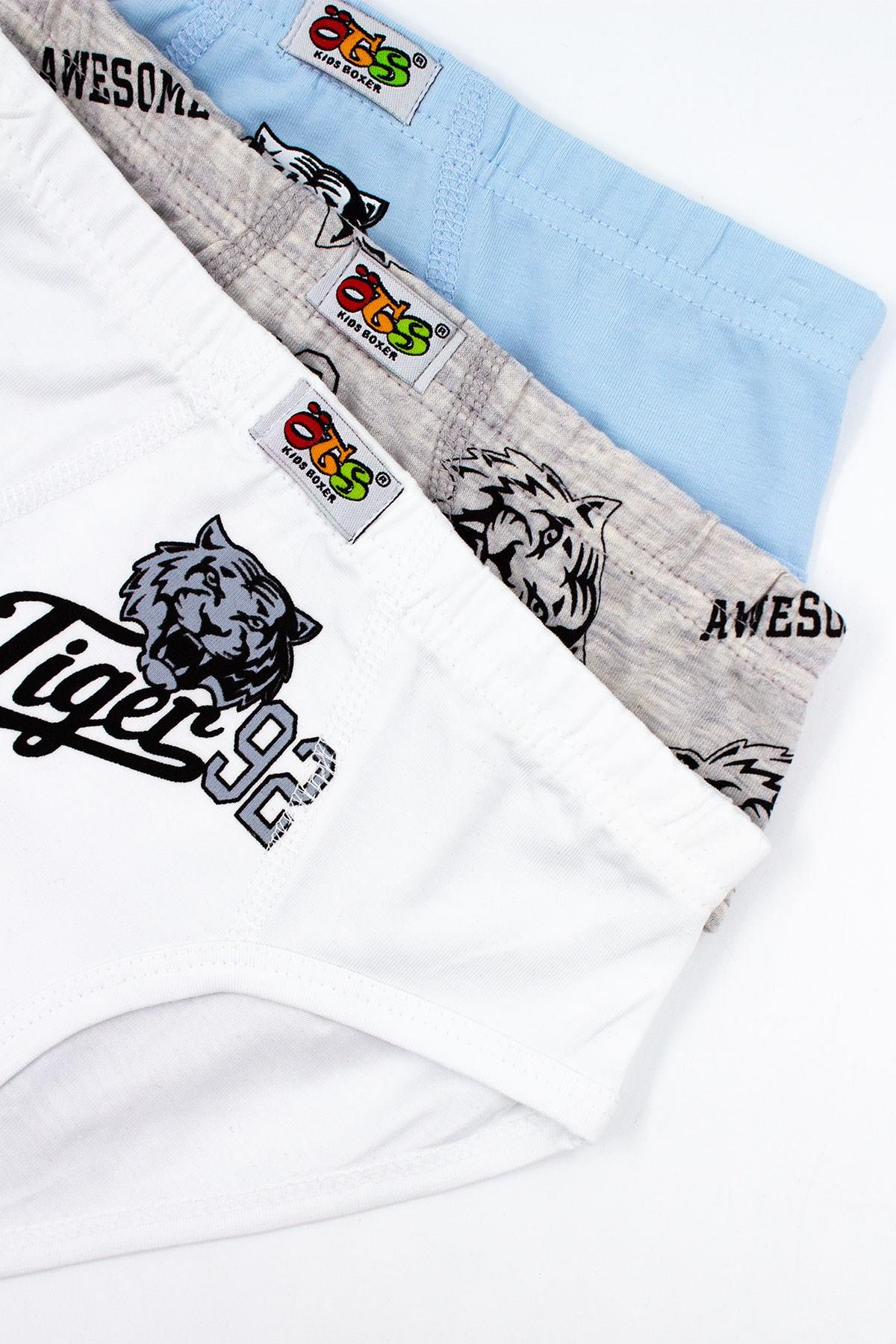 Öts Erkek Çocuk Külot 3'lü Baskılı (%96 Pamuk - %4 Elastan)