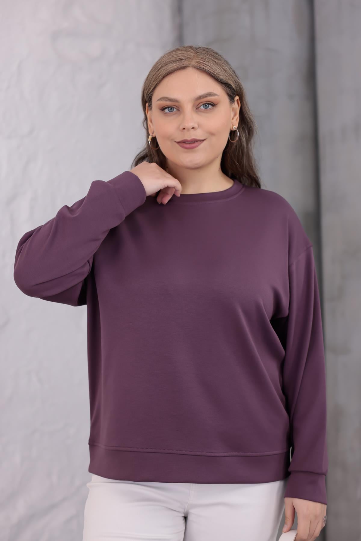 Sweatshirt Büyük Beden Bisiklet Yaka Basıc Sweatshirt