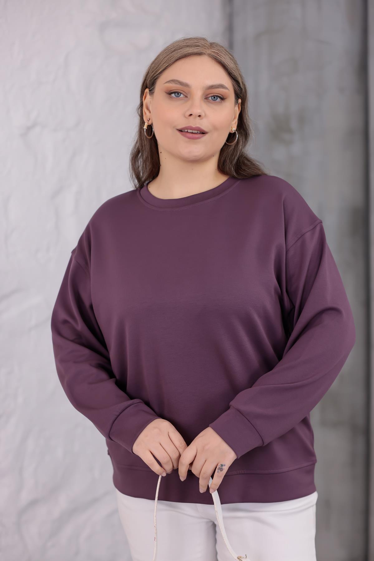 Sweatshirt Büyük Beden Bisiklet Yaka Basıc Sweatshirt