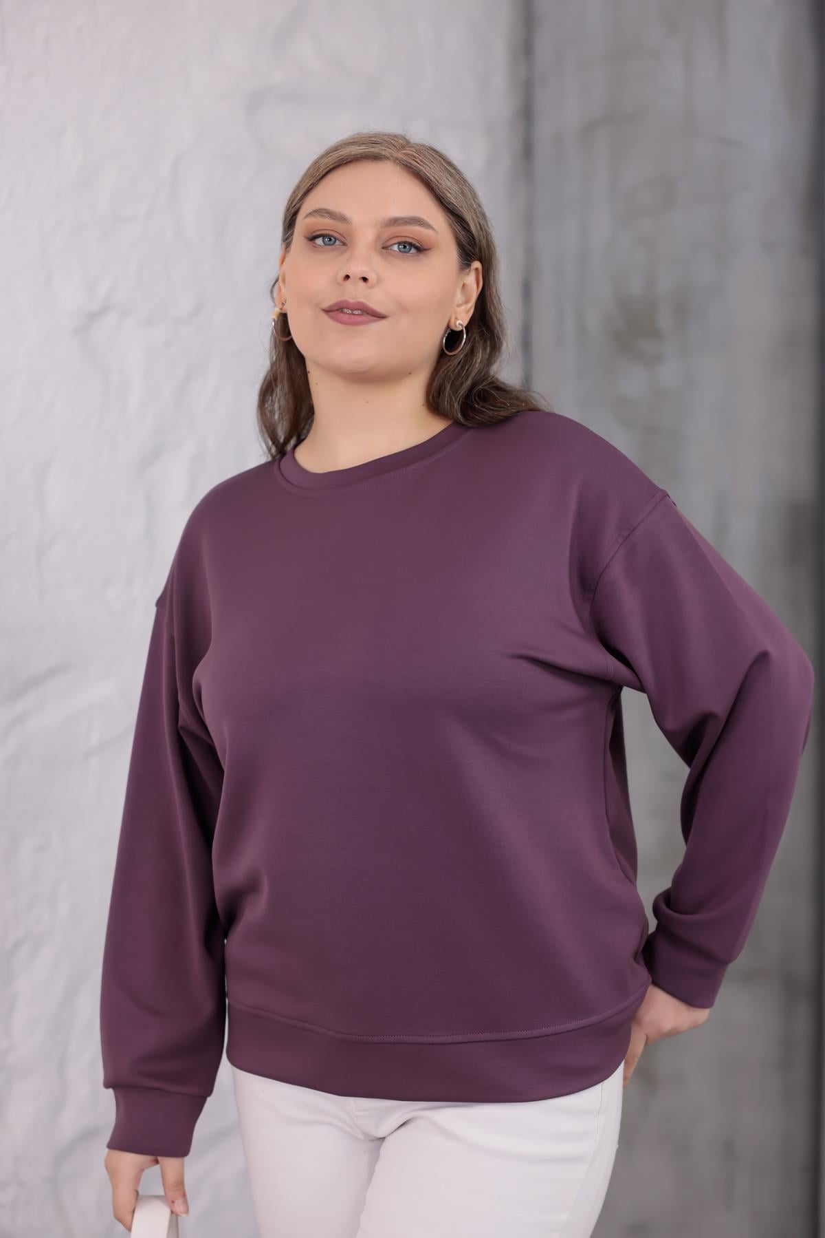 Sweatshirt Büyük Beden Bisiklet Yaka Basıc Sweatshirt