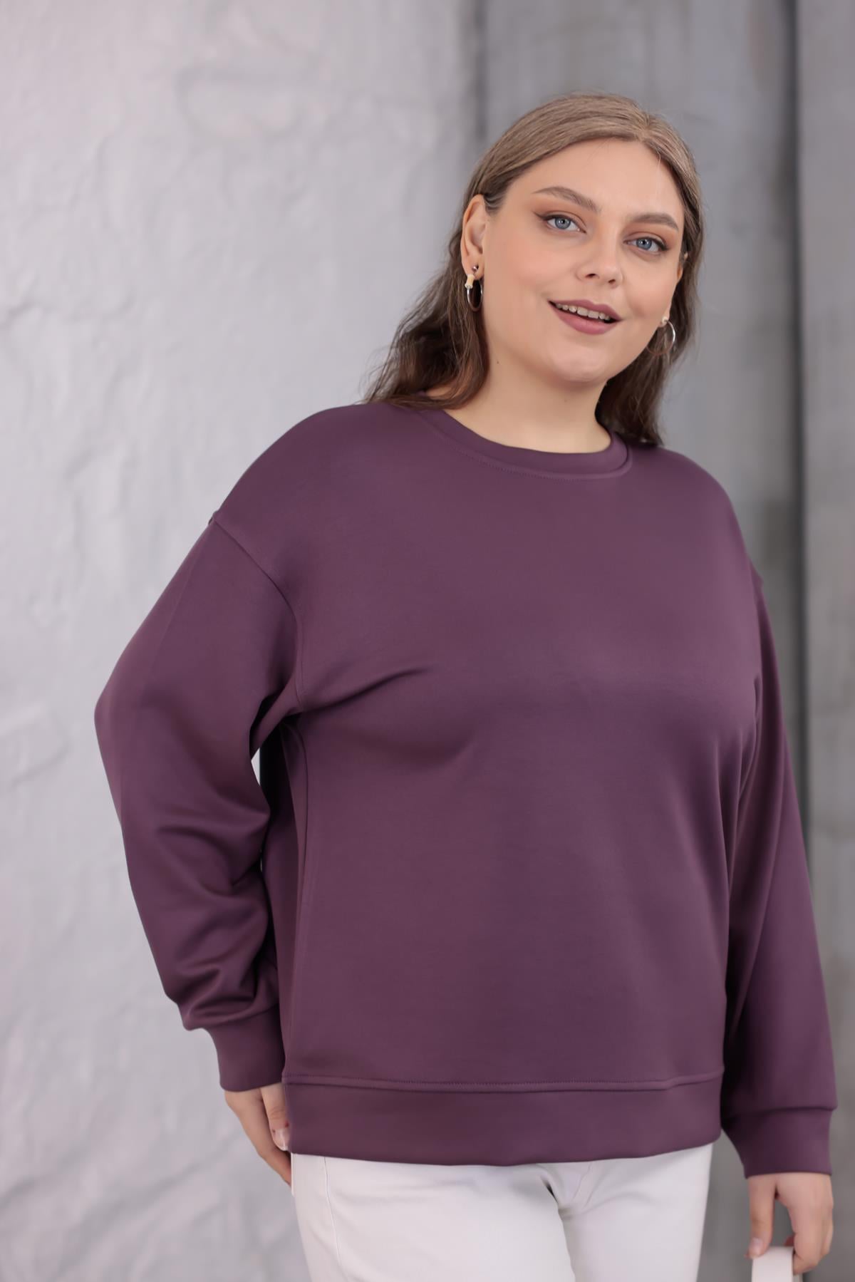 Sweatshirt Büyük Beden Bisiklet Yaka Basıc Sweatshirt
