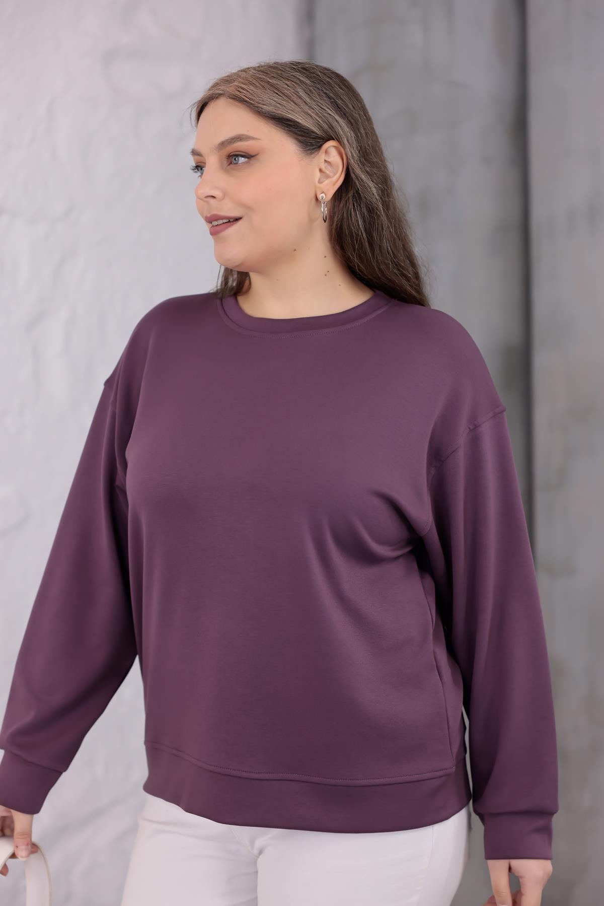 Sweatshirt Büyük Beden Bisiklet Yaka Basıc Sweatshirt