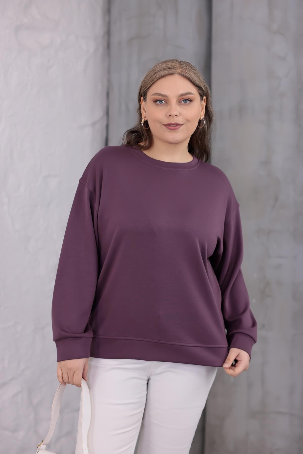 Sweatshirt Büyük Beden Bisiklet Yaka Basıc Sweatshirt