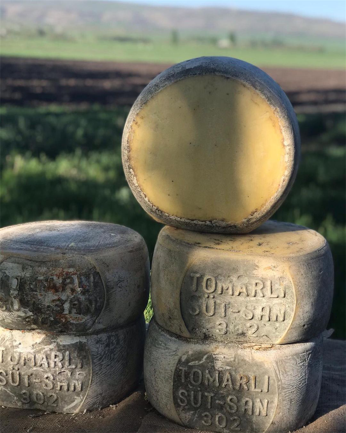 Kars Eski Kaşar Teker Ağırlığı 12,500 Kg İle 13 Kg Arası