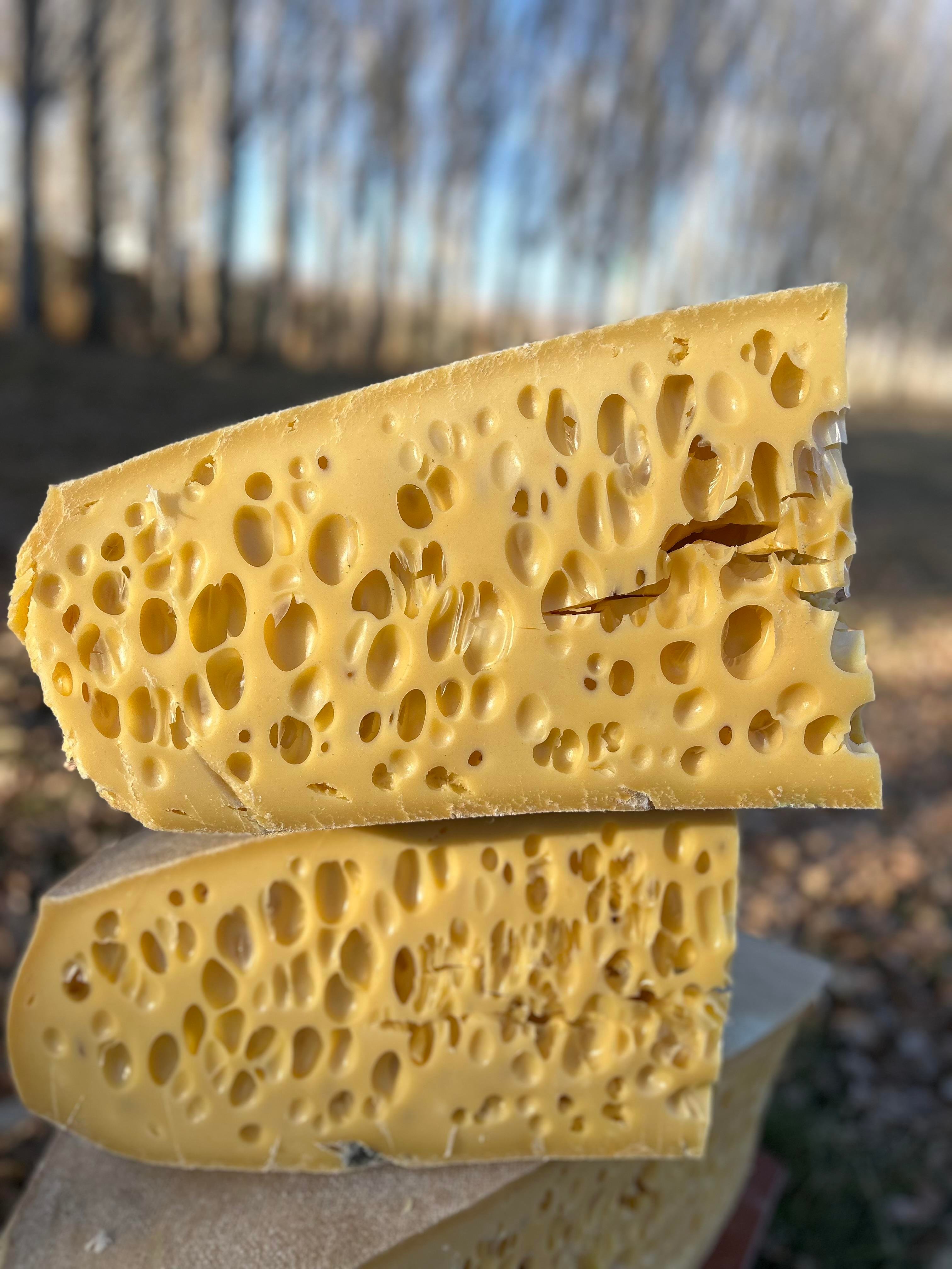 Kars Gravyer Peyniri 500 Gr