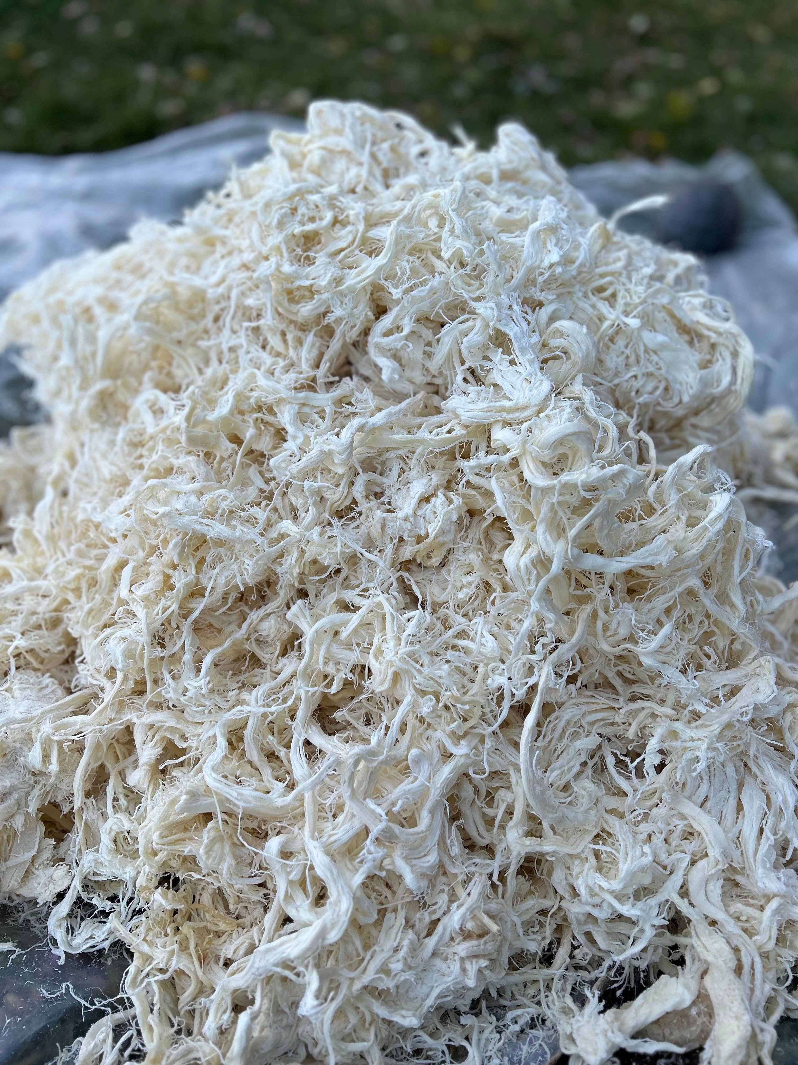 Kars Tuluk Peyniri 1 Kg