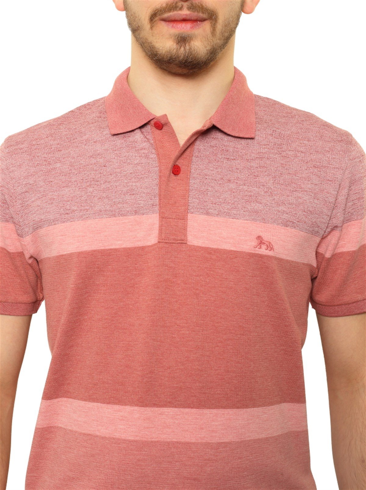 Polo Yaka T-Shirt 