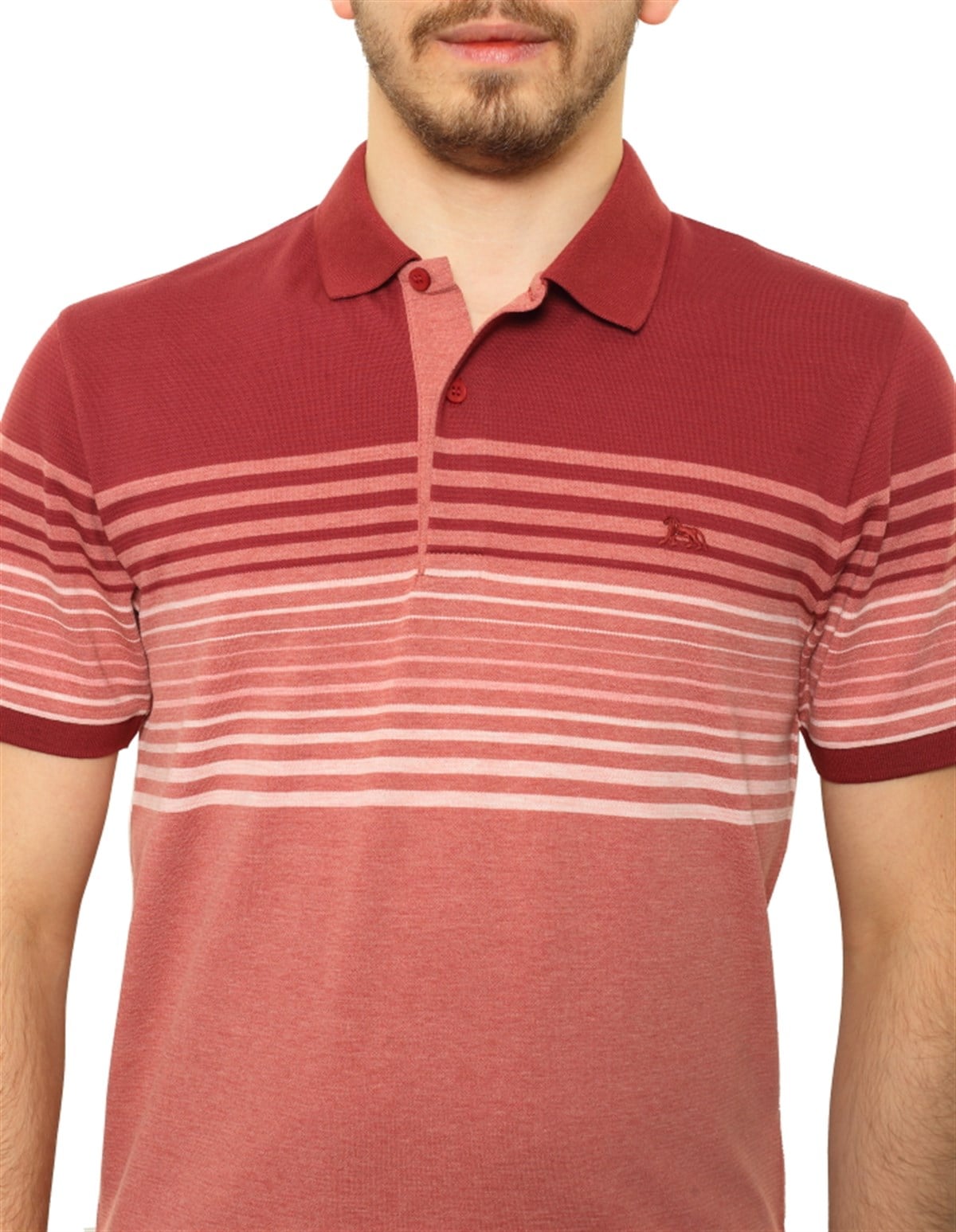 Polo Yaka T-Shirt 