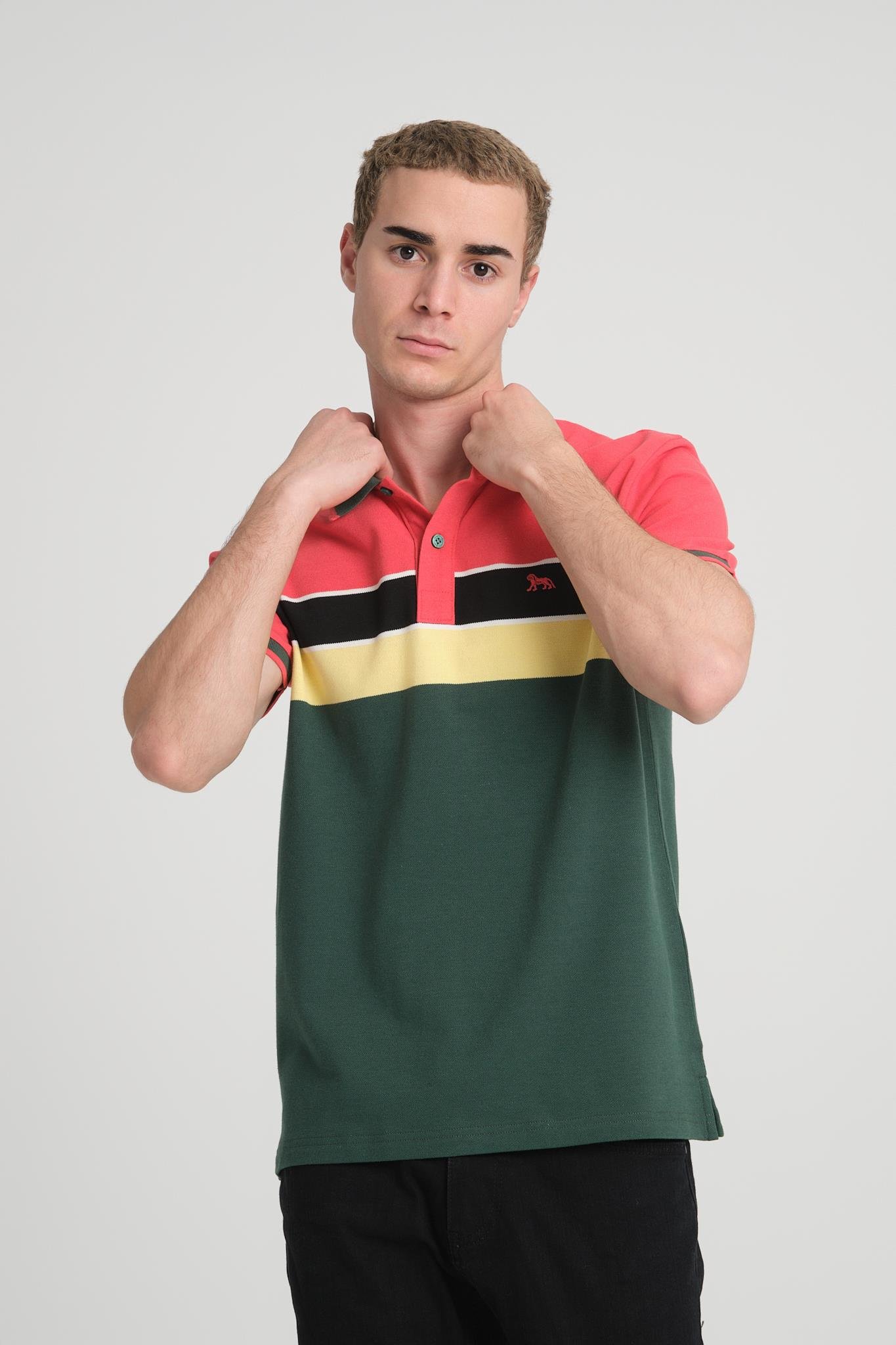 Polo Yaka T-Shirt 
