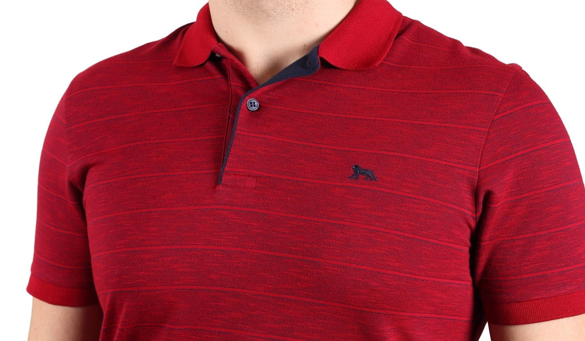 Polo Yaka T-Shirt 