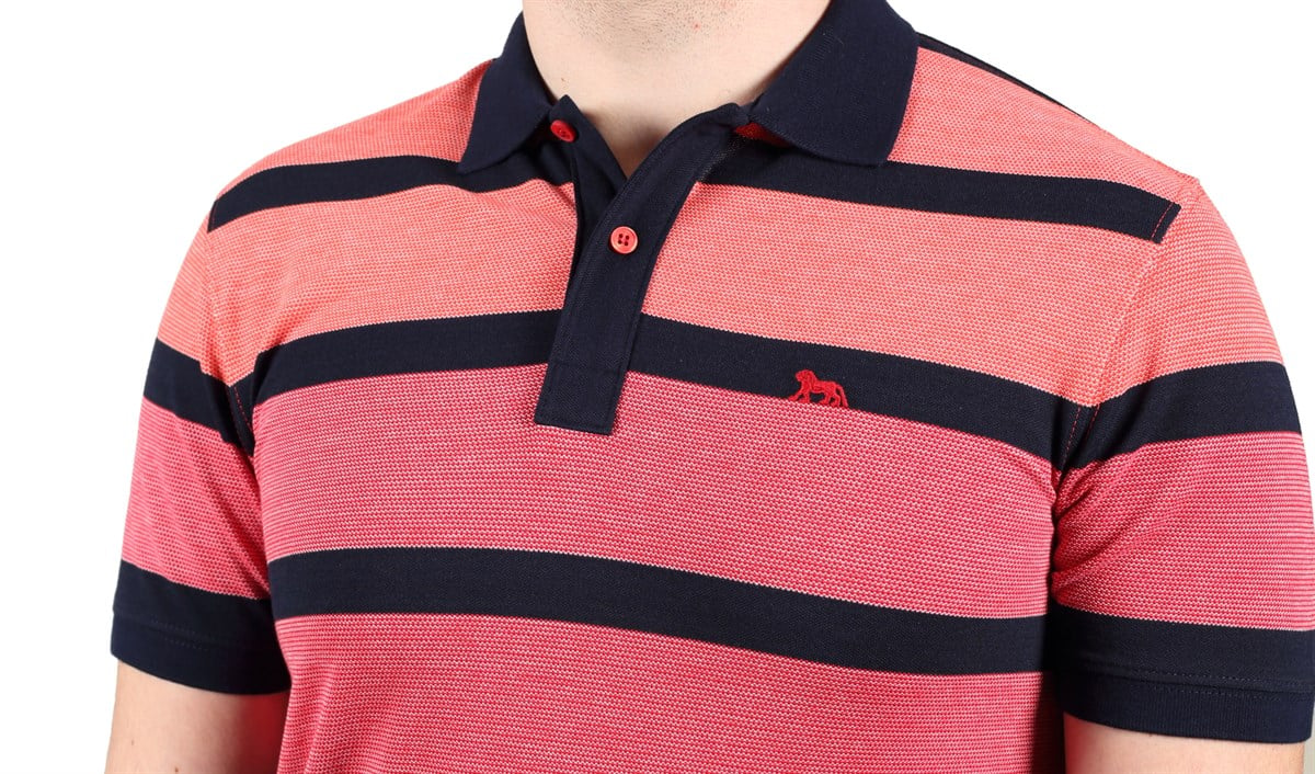 Polo Yaka T-Shirt