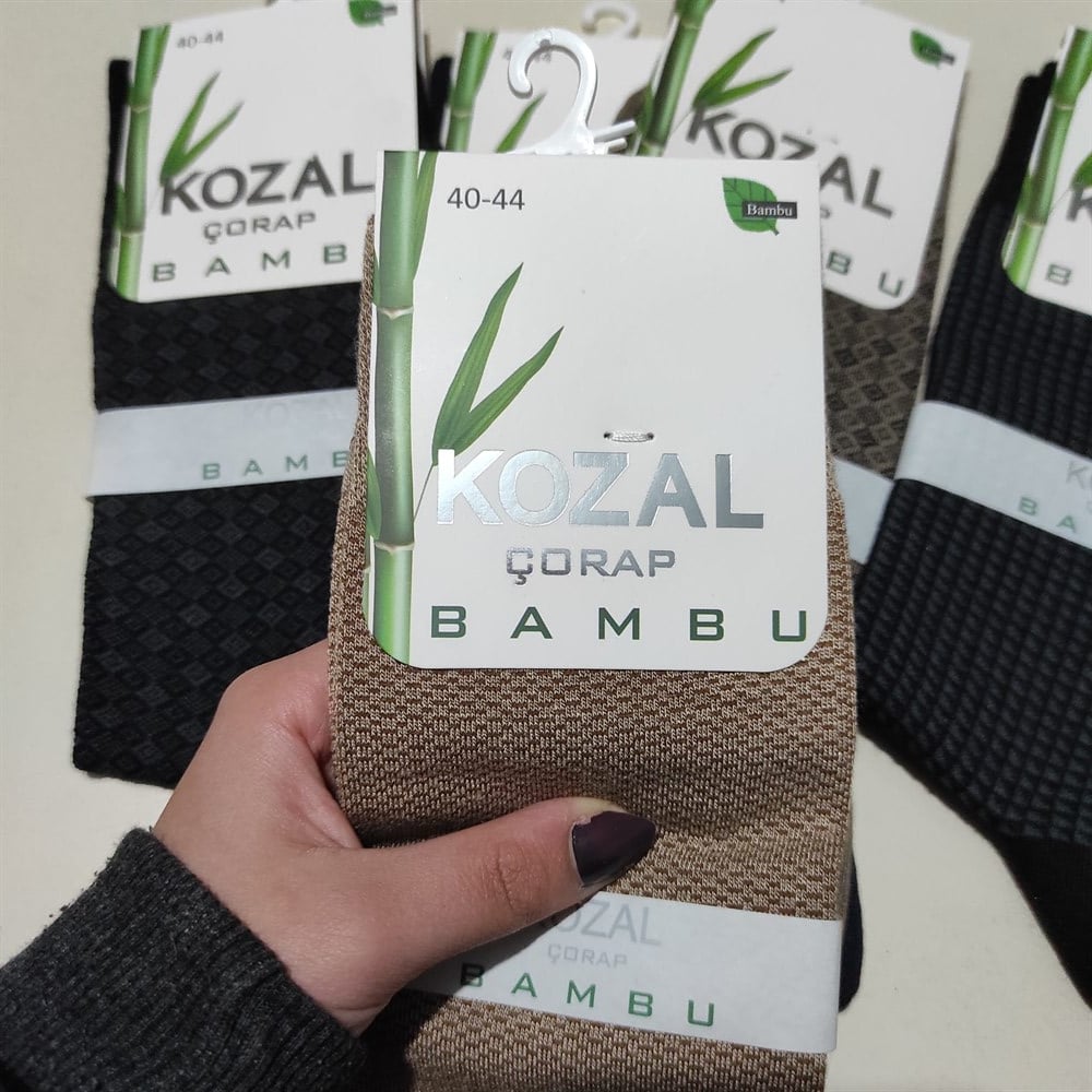Kozal Erkek Bambu Çorap (KZL01-09)