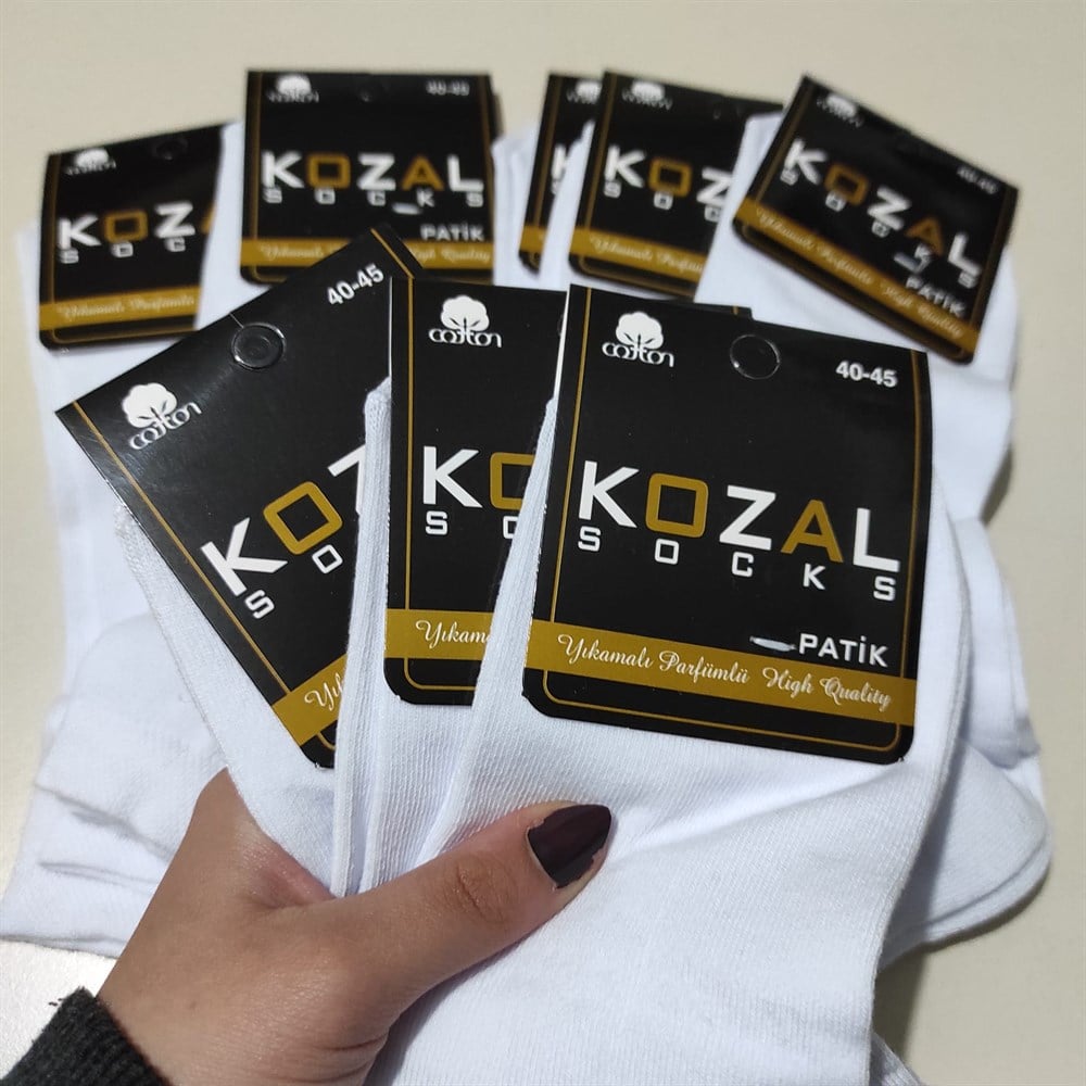 Kozal Erkek Çorap (KZL01-26)