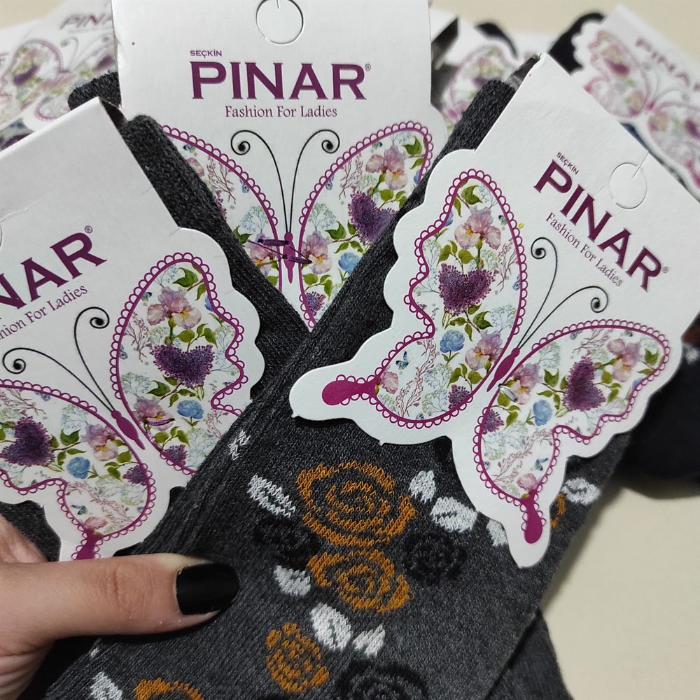 Pınar Kadın Çorap (PNR01-11)