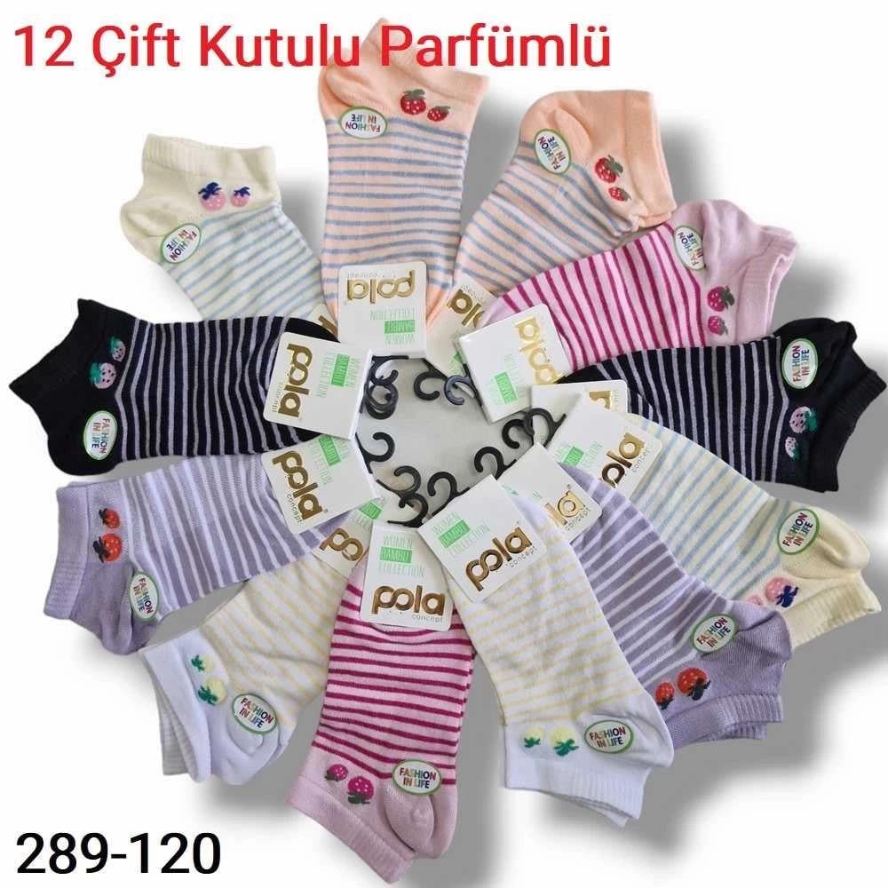 Pola Bambu Dikişsiz Bayan Patik Çorap (12 Çift ) 289-120