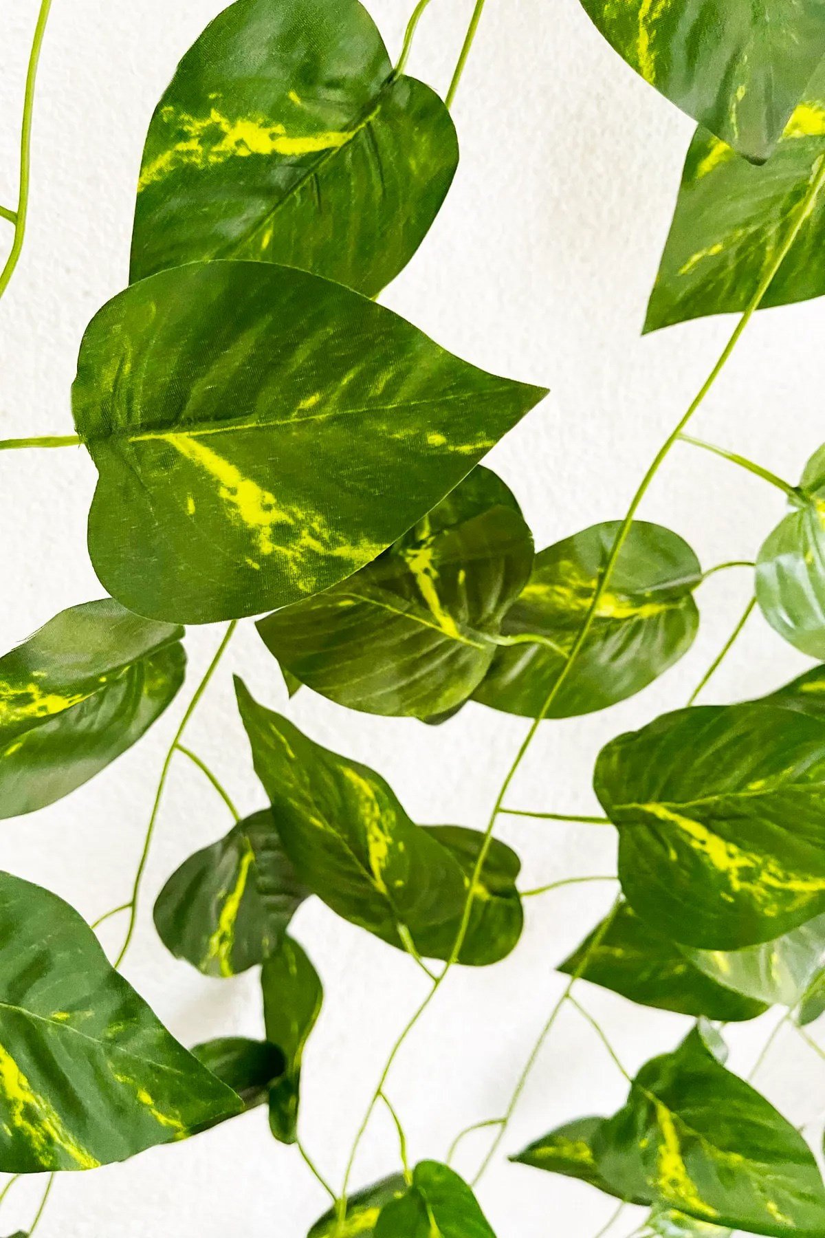 3 Adet Dekoratif Yapay Sarmaşık Sarı Çizgili Yaprak Yapay Çiçek Dekoru 230cm