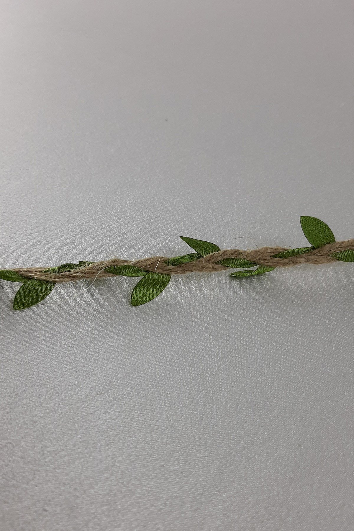 Hasırlı Yapraklı Şerit