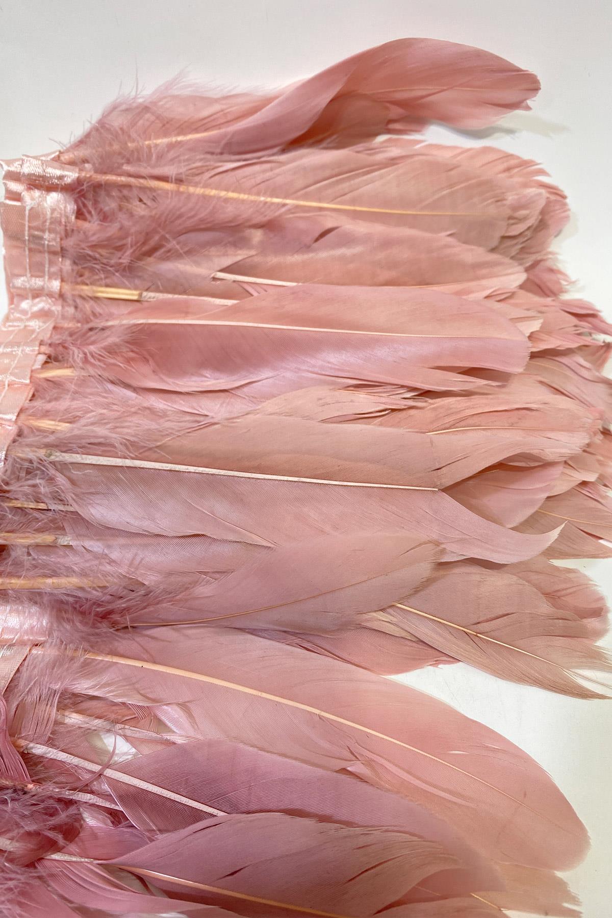 Pudra Kartal Tüyü Şerit Tüy