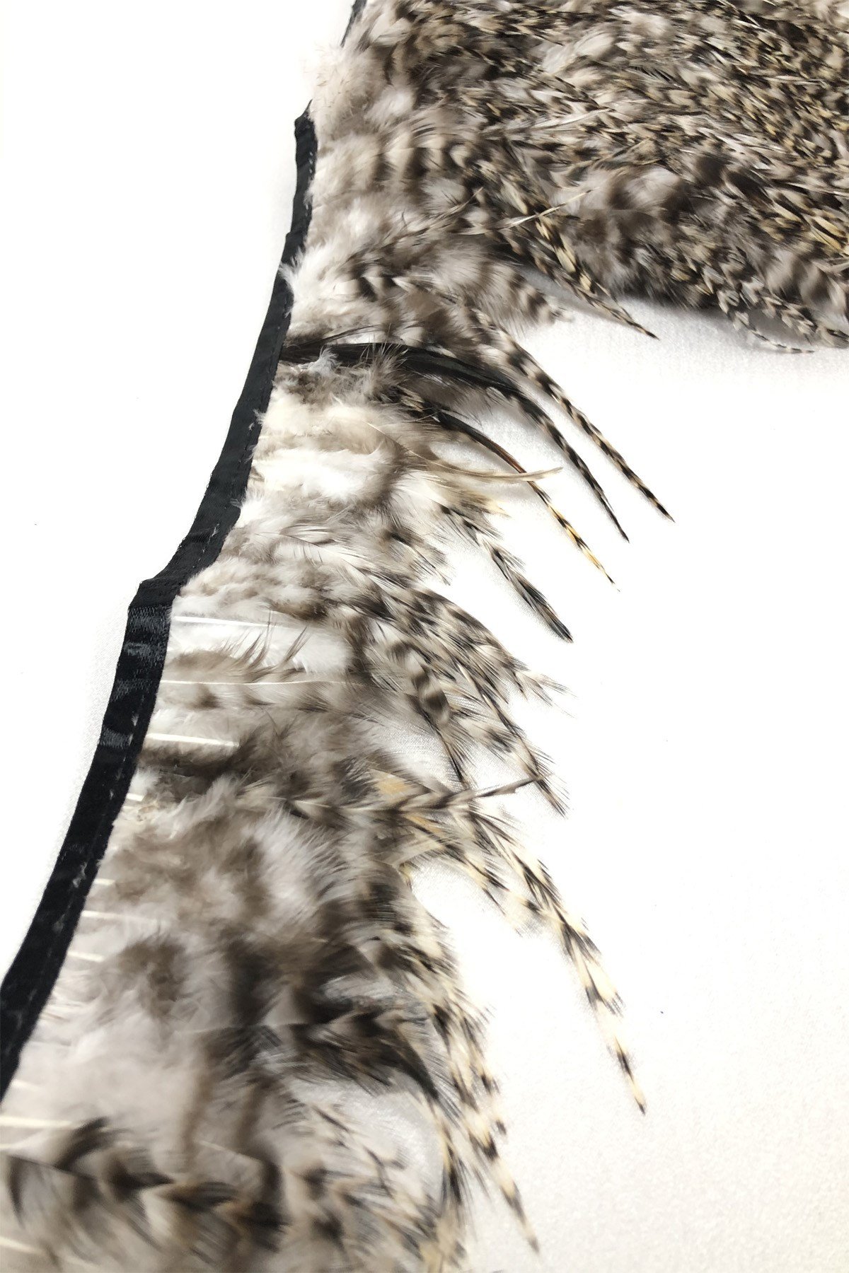 Siyah Beyaz Desenli Horoz Tüyü