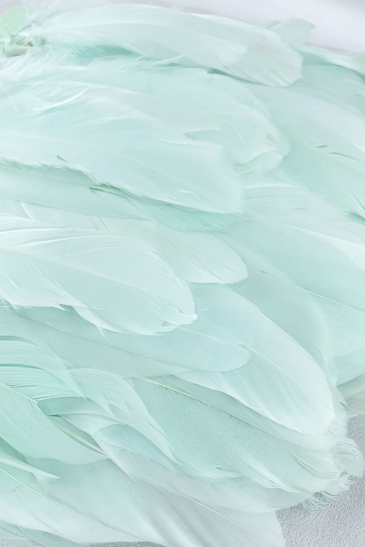 Su Yeşili Kartal Tüyü