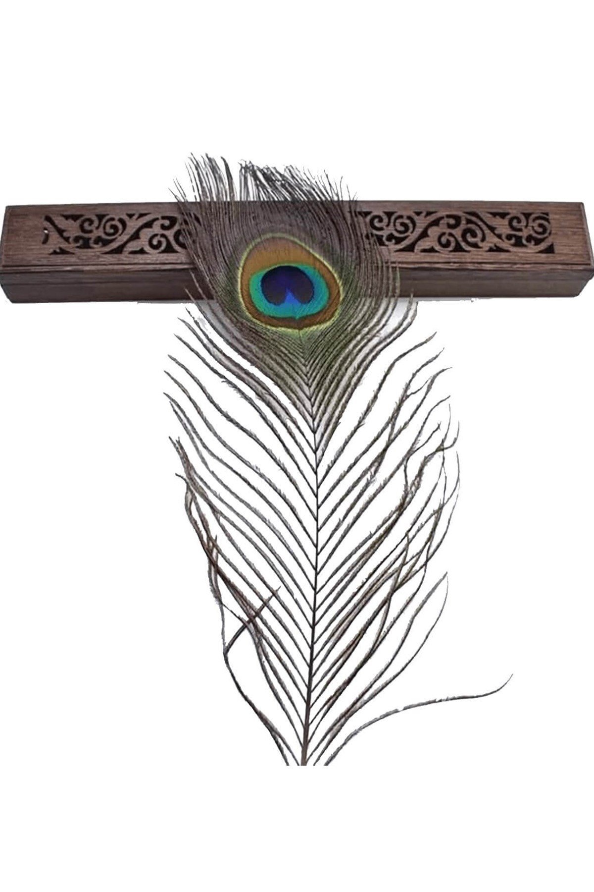 Tavuz Kuşu Tüyü 25-27 cm 1 adet