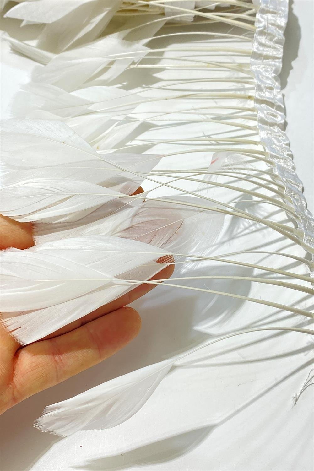 Toptan Malibu Deve Kuşu Tüyü