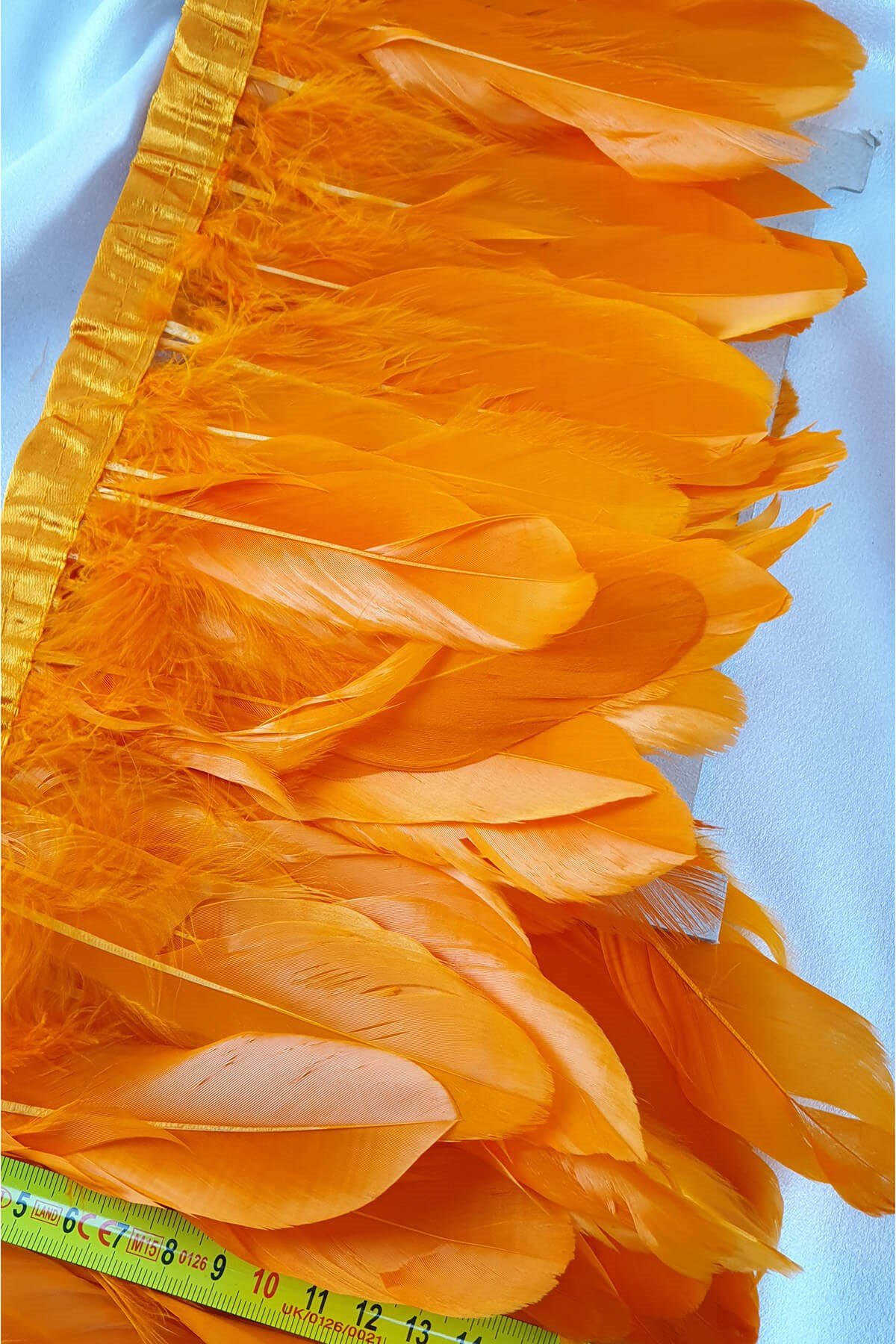 Turuncu Kartal Tüyü