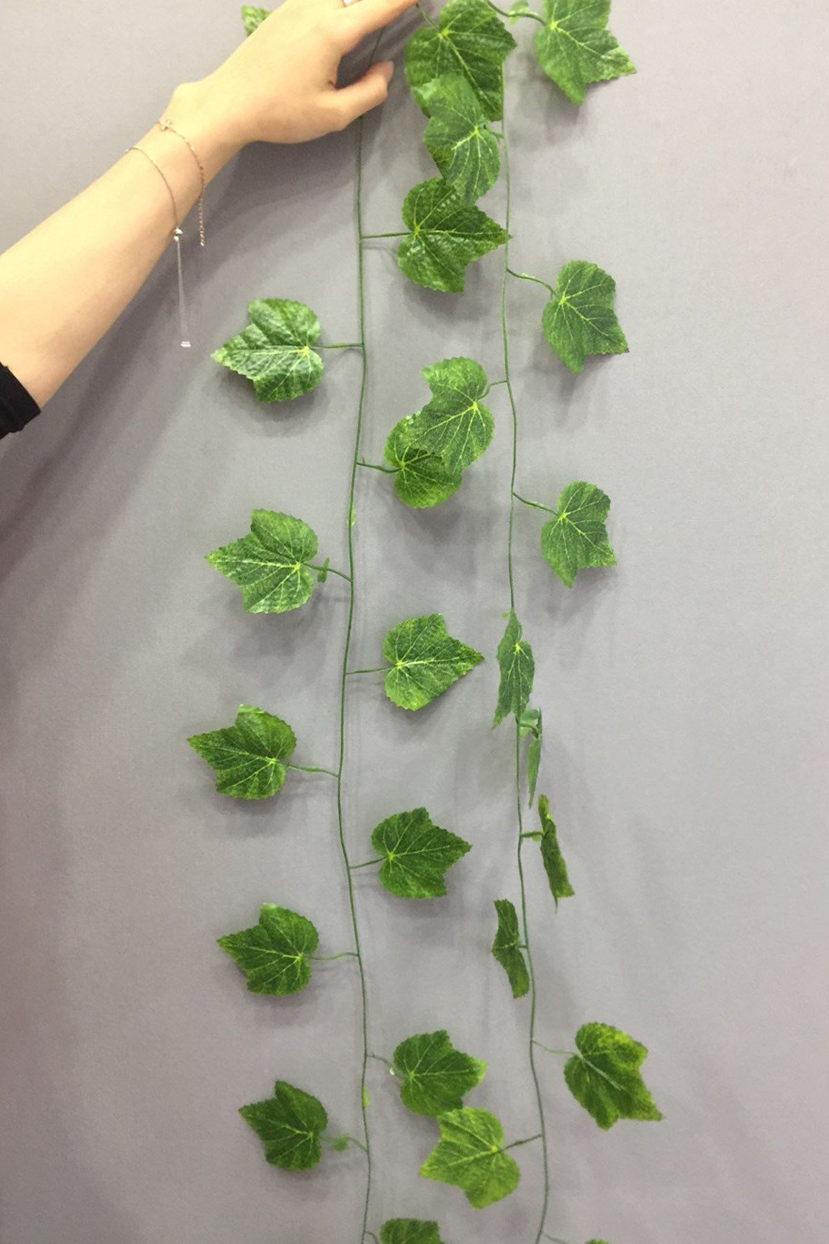 Yaprak Yeşil Uzun Sarmaşık