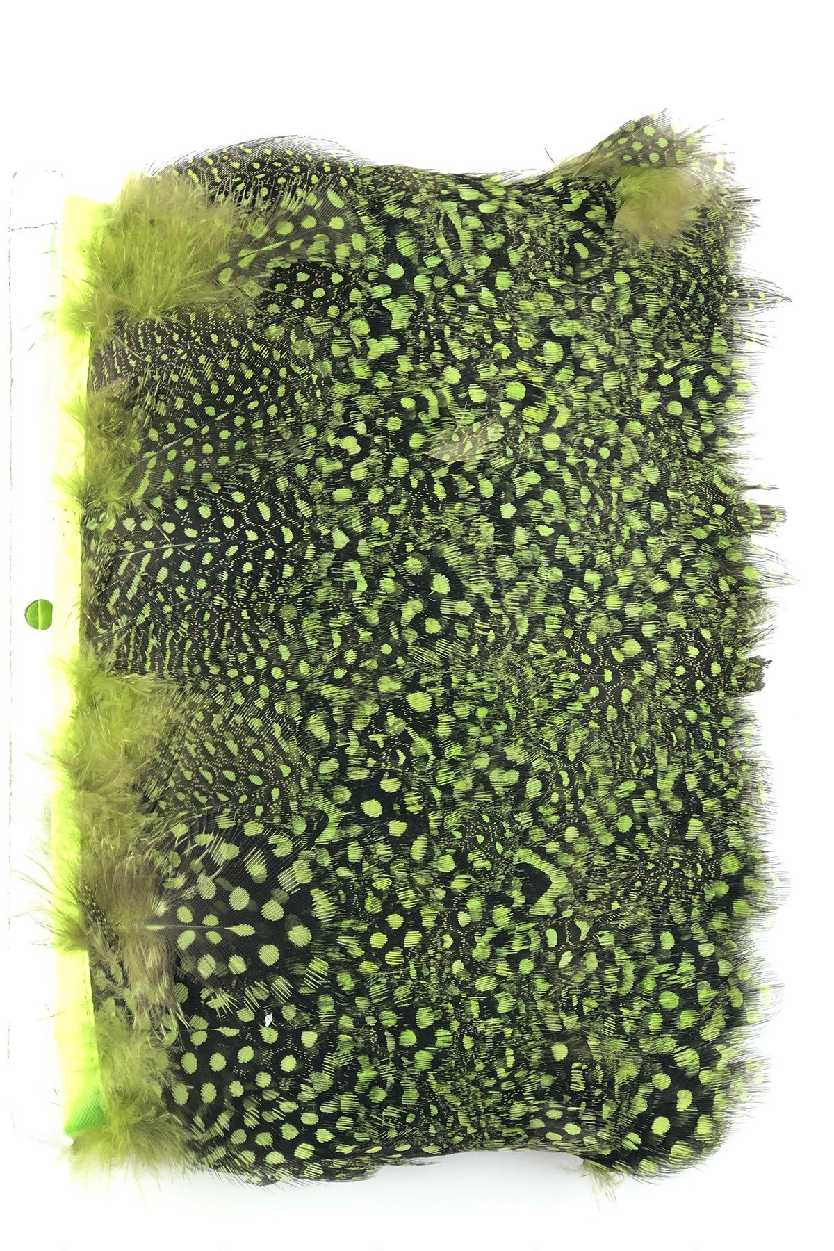 Yeşil Puanlı Gine Tavugu Tüyü