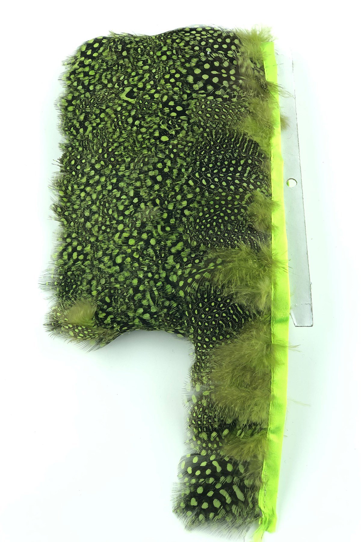 Yeşil Puanlı Gine Tavugu Tüyü