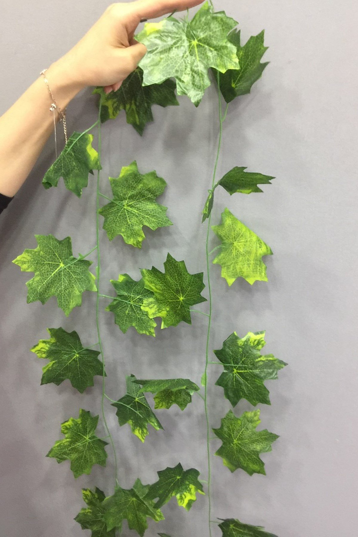 Yeşil Uzun Sarmaşık Yaprak