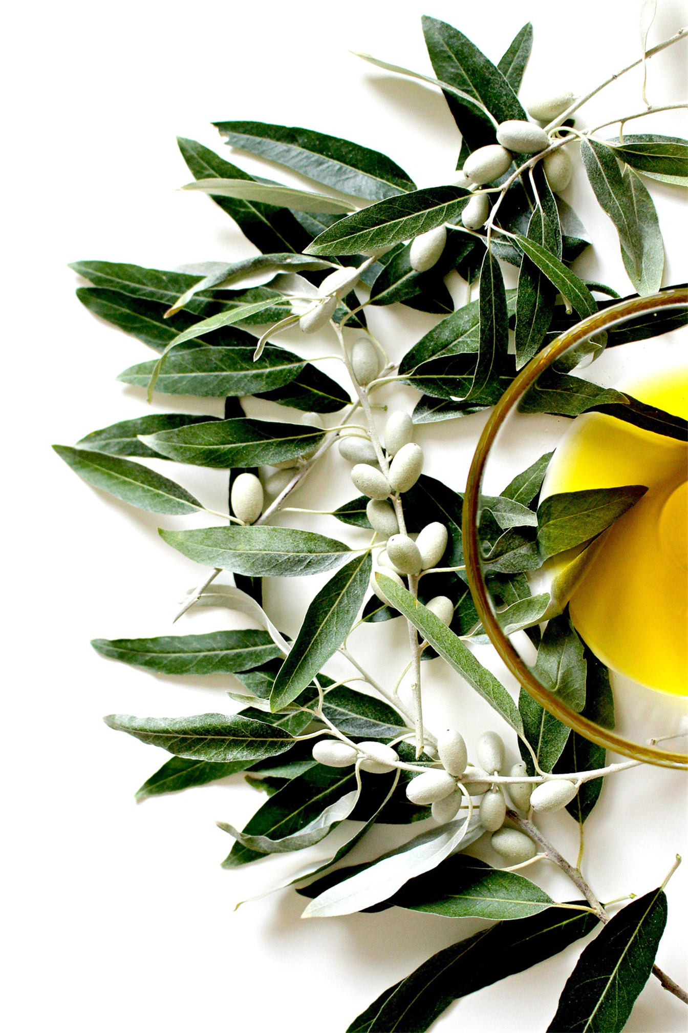 Olivvi Erken Hasat Soğuk Sıkım Sızma Zeytin Yağı 1 Lt