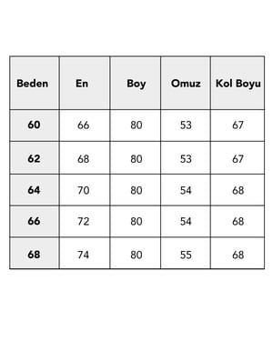 Büyük Beden Erkek Gri Takım Elbise