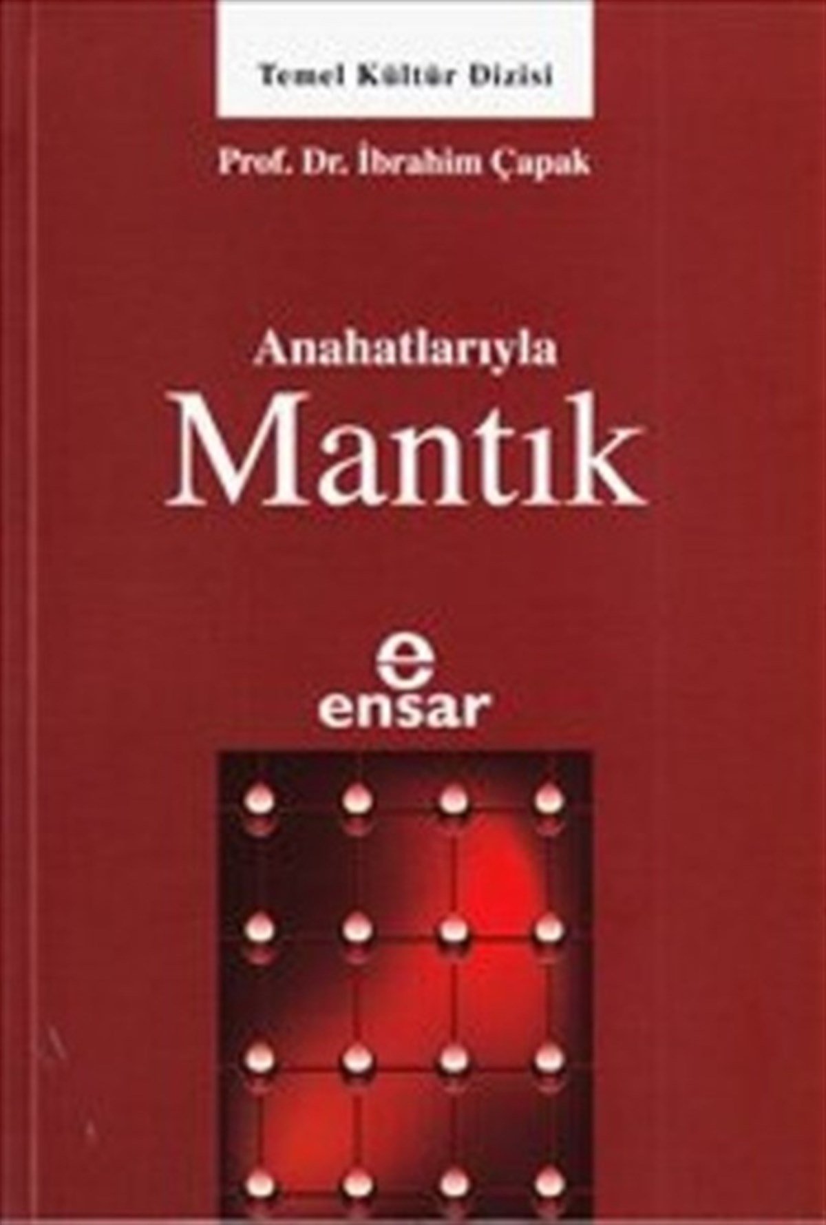 Anahatlarıyla Mantık